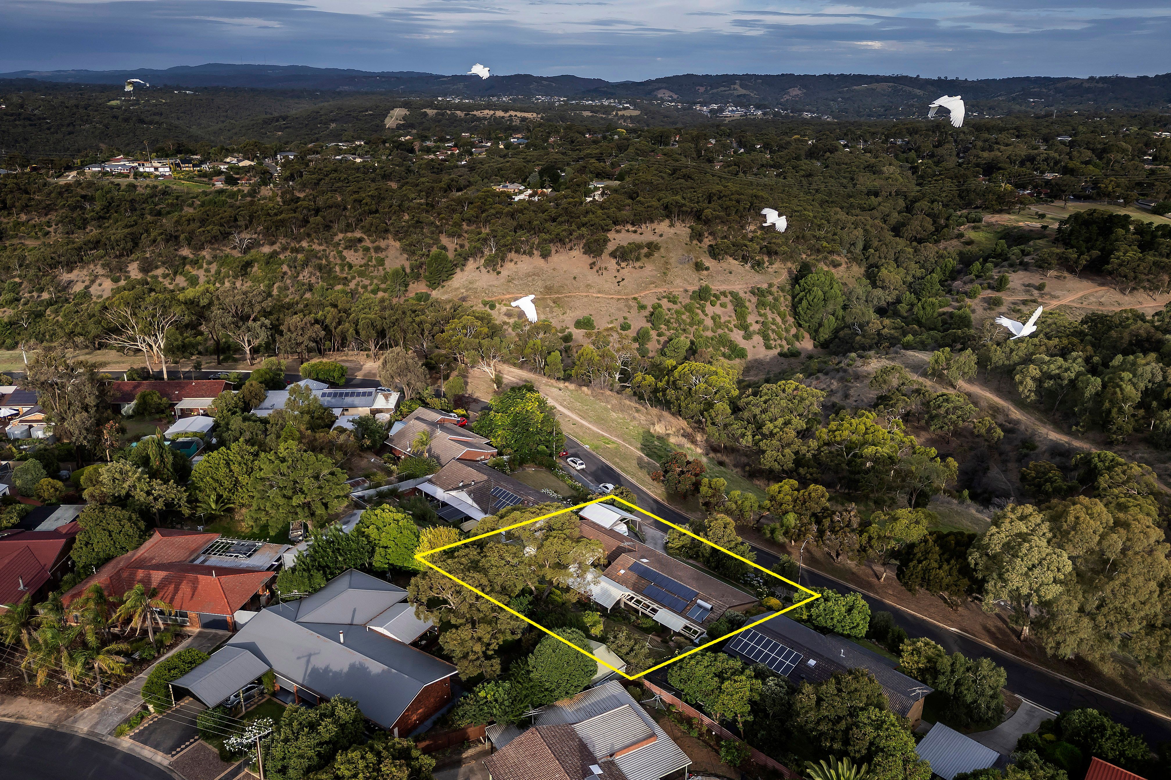 16 Lovely Valley Road, Flagstaff Hill, SA 5159