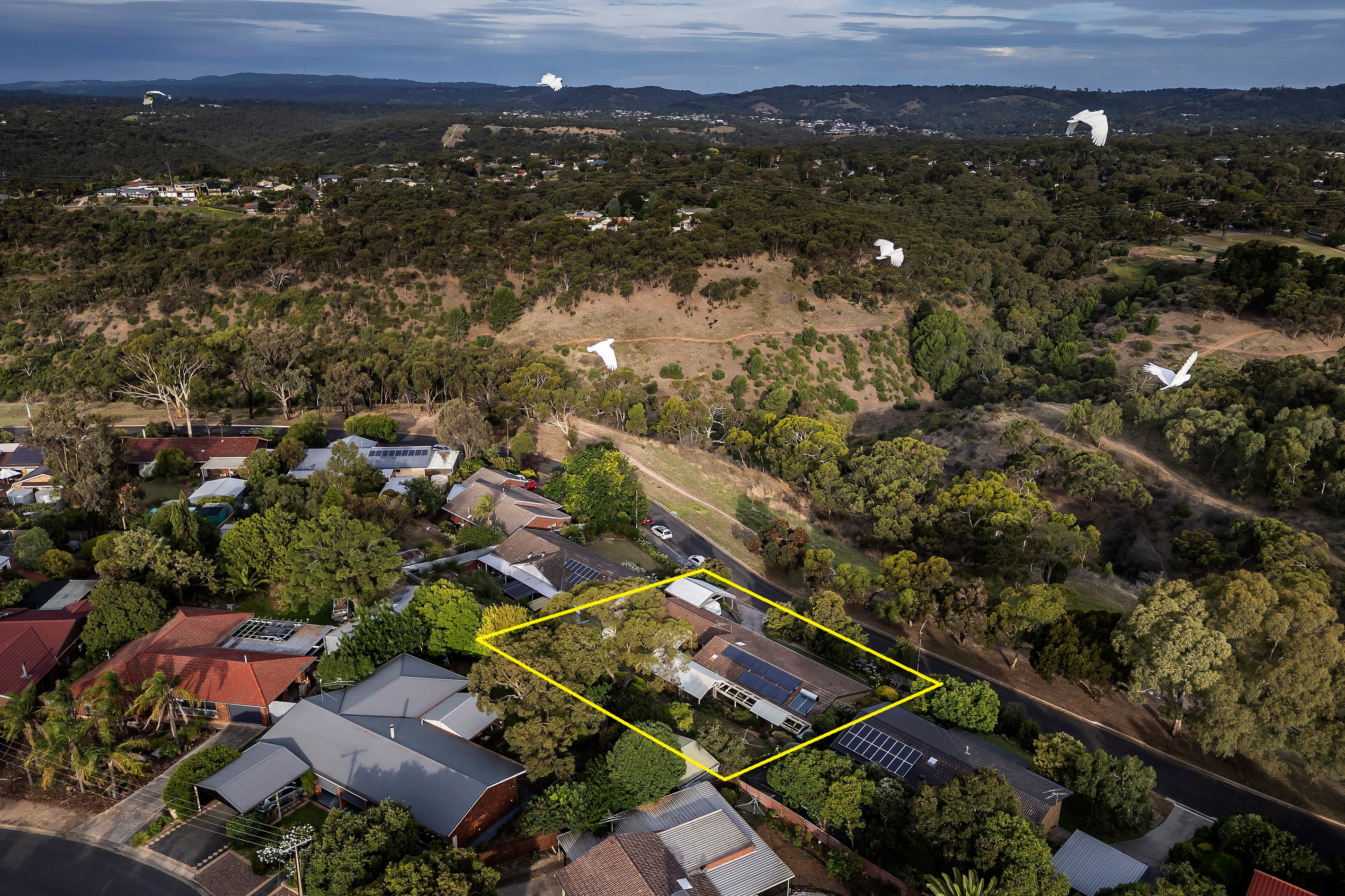 16 Lovely Valley Road, Flagstaff Hill, SA 5159