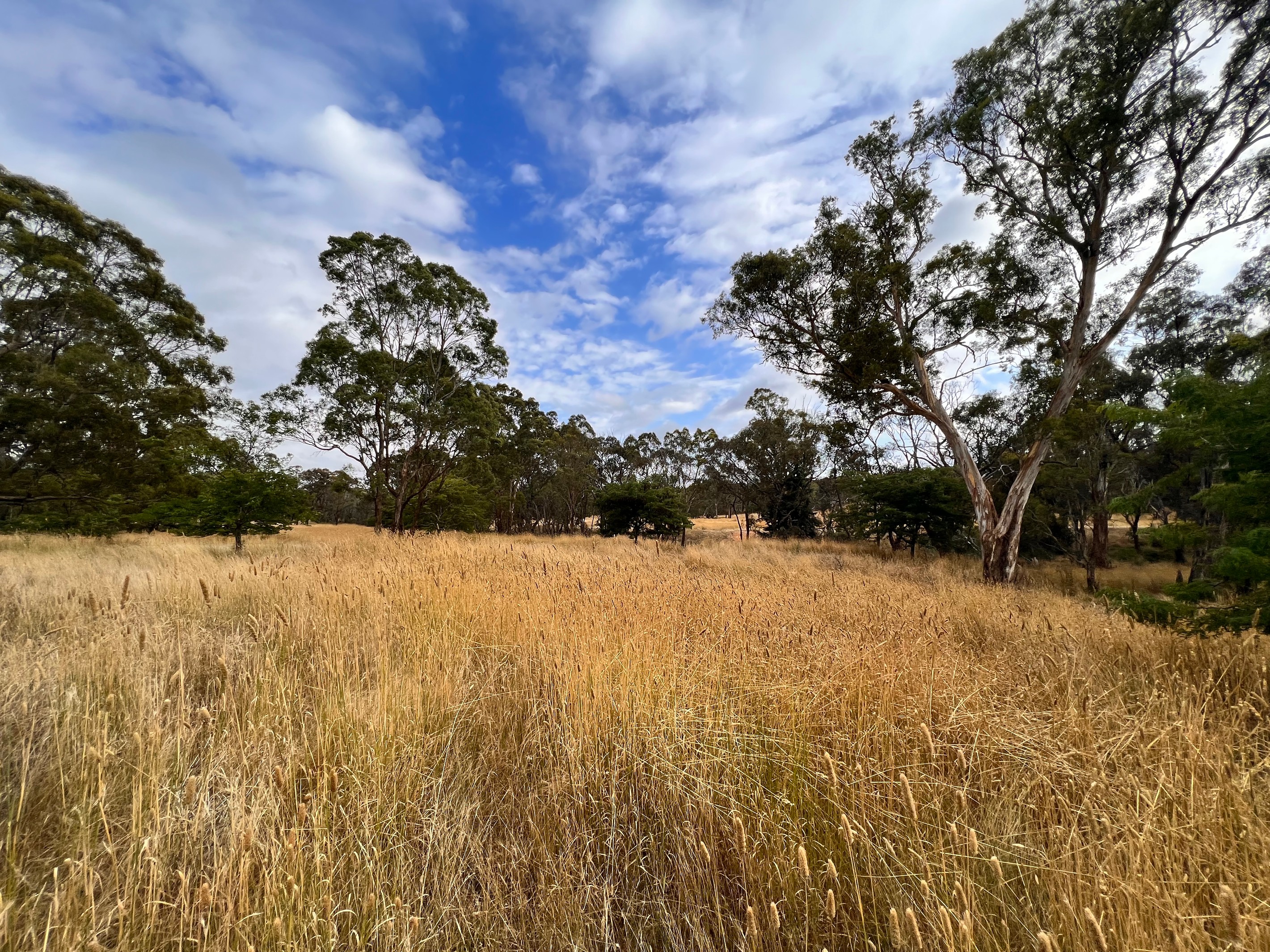 233 Brooks Creek Lane, Gundaroo, NSW 2620