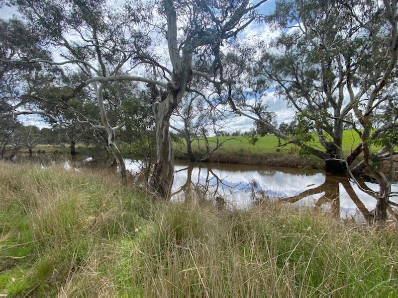 Properties for sale in Ararat and nearby Ray White Ararat