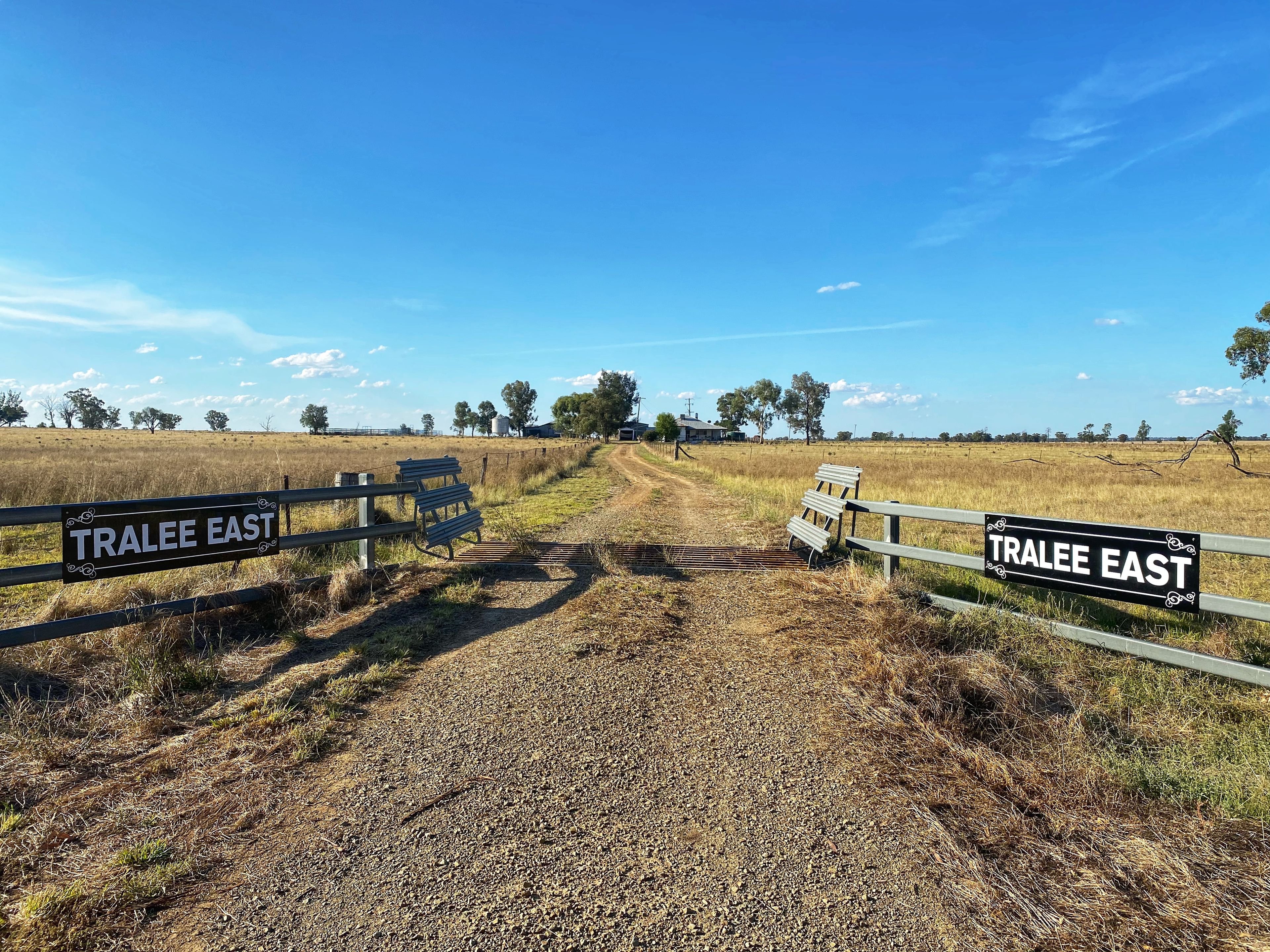 'Tralee East' Blackstock Hill Road, Peak Hill, NSW 2869 Sold Rural