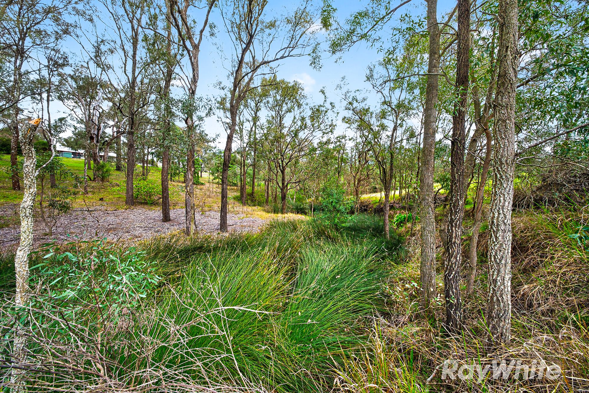 6 Druce Smith Place — photo 23 of 26