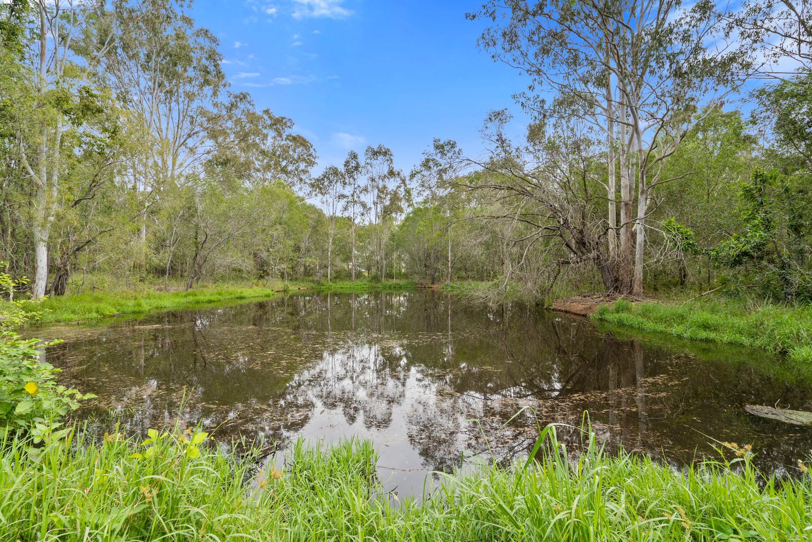 26 Palomino Road, Tamborine, QLD 4270