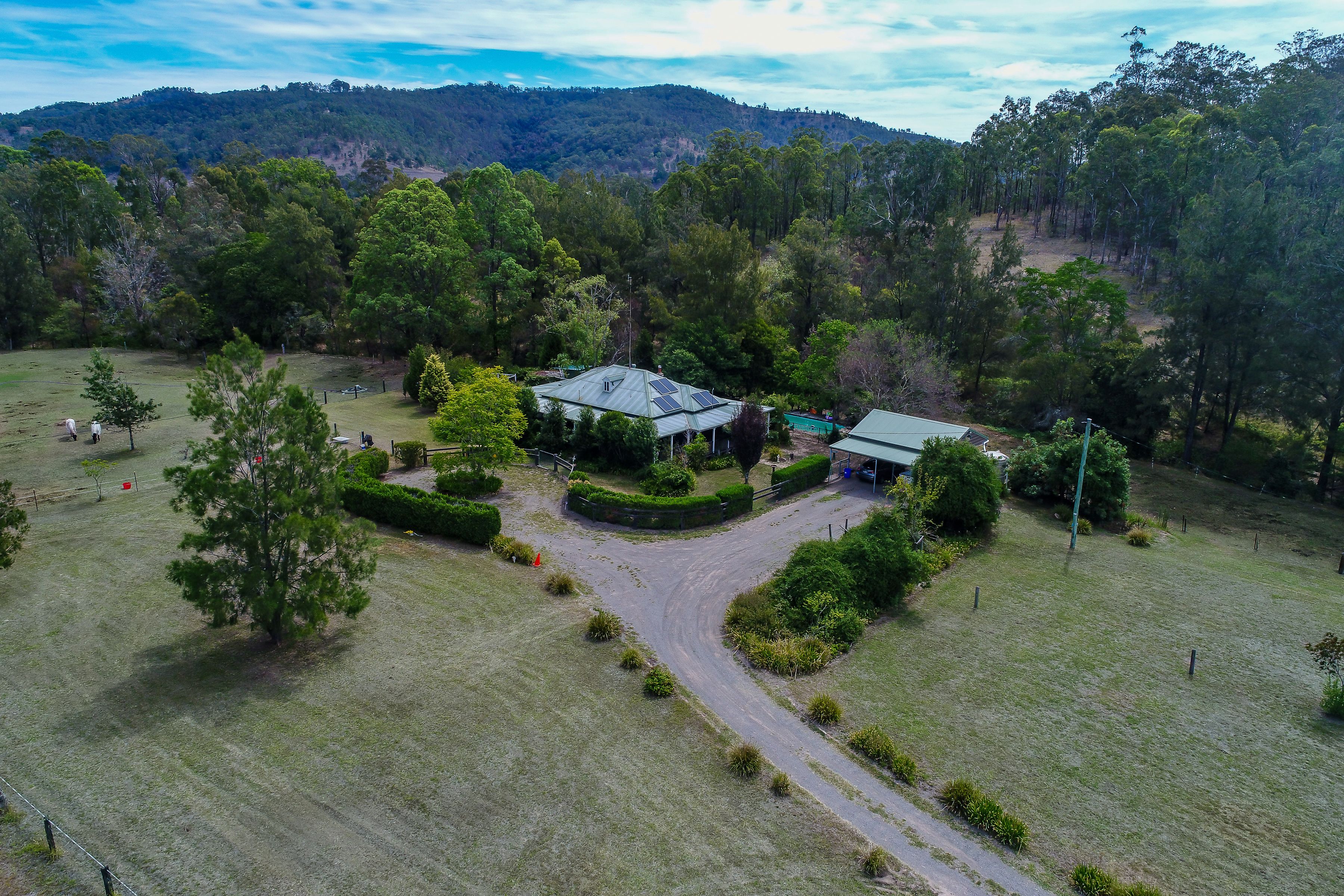 3 Dog Trap Creek Road