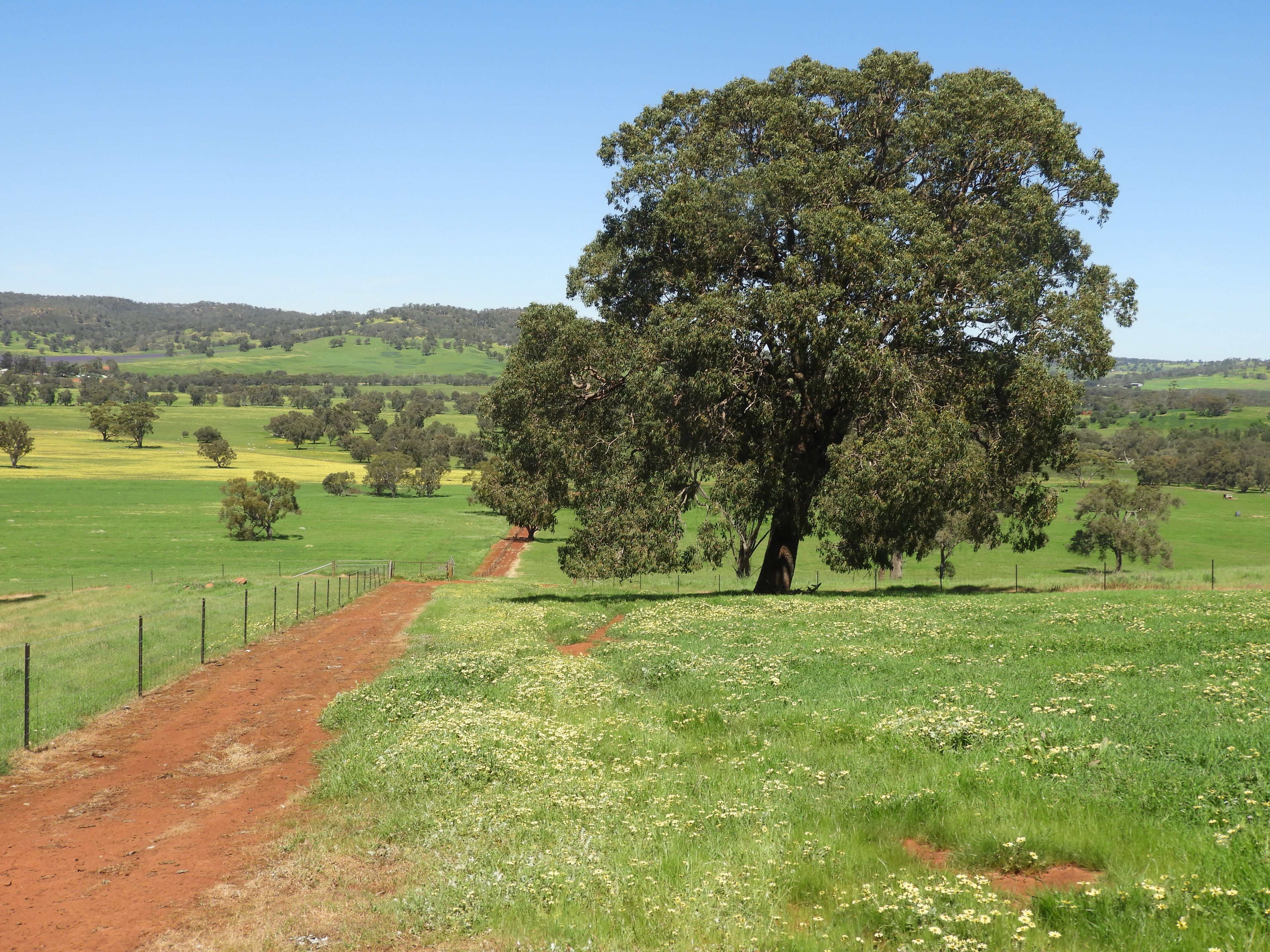 The Breakaway, Great Northern Highway, Bindoon, WA 6502