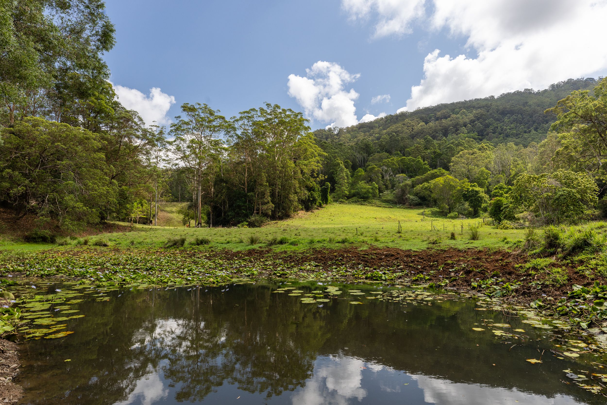 584 Mount Brisbane Road, Mount Pleasant, QLD 4521