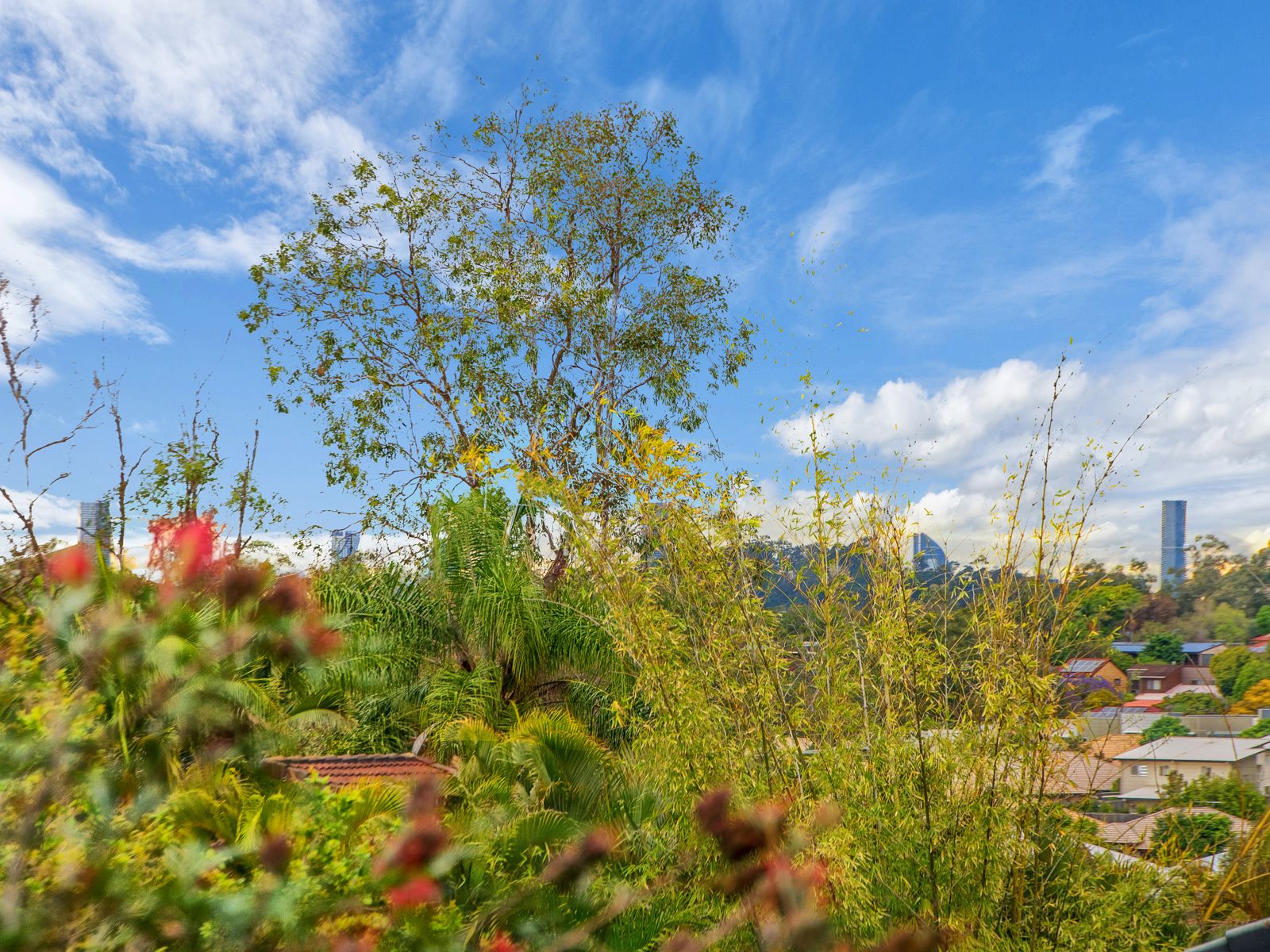 28/91 Beckett Road, McDowall, QLD 4053