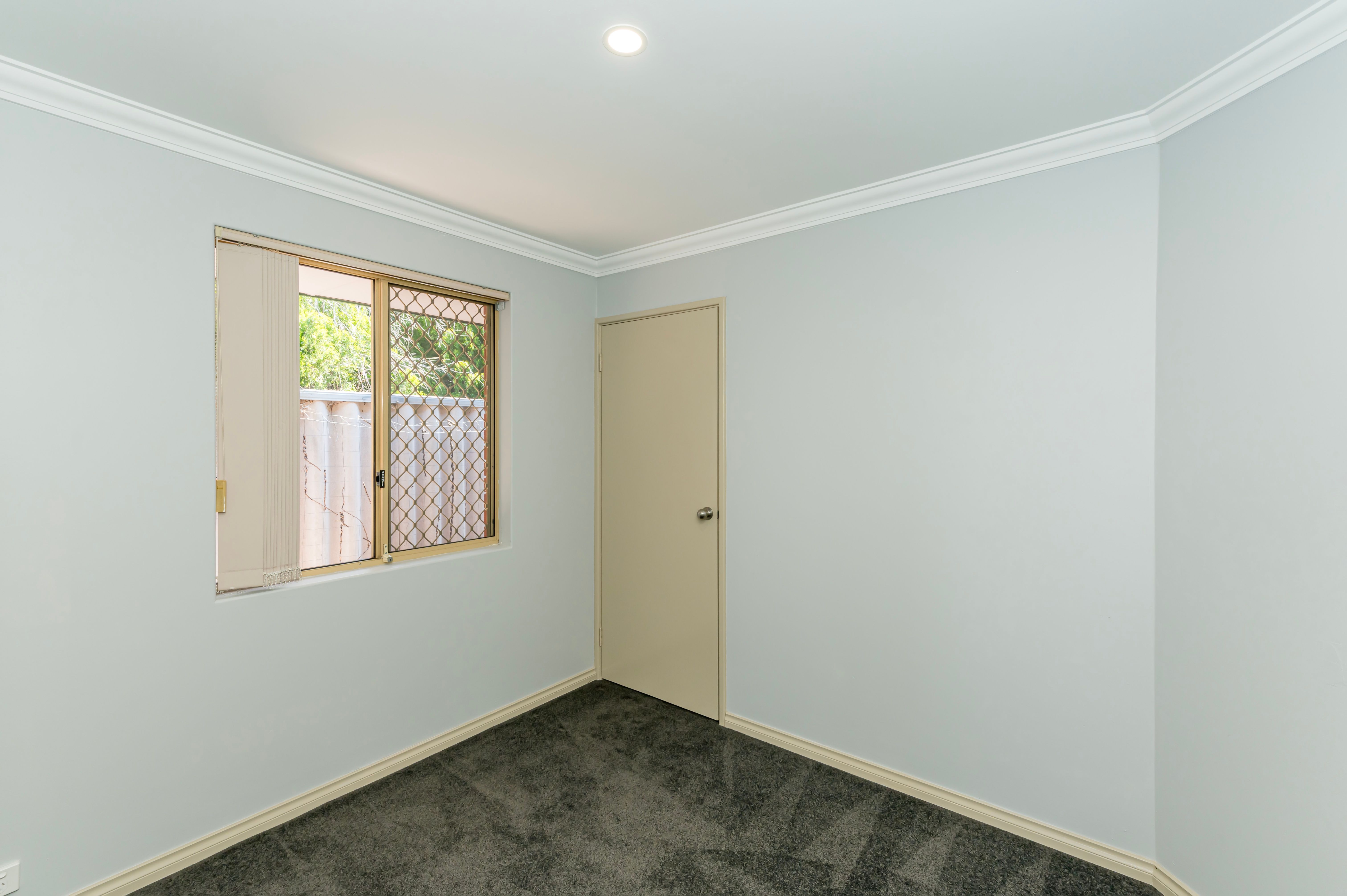 413B Lennard Street — photo 15 of 22