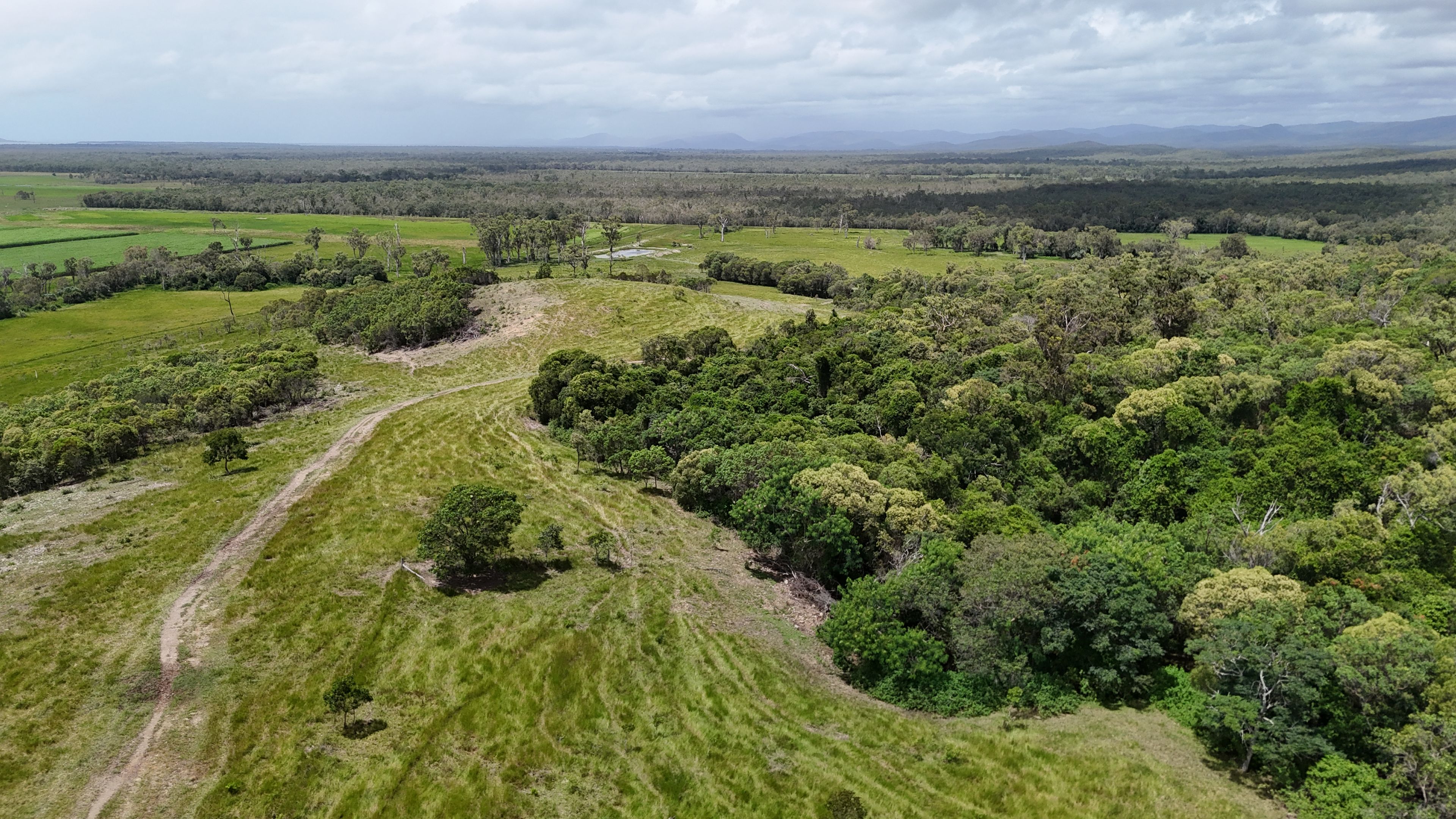 Lot 3 Marion Settlement Road — photo 13 of 15