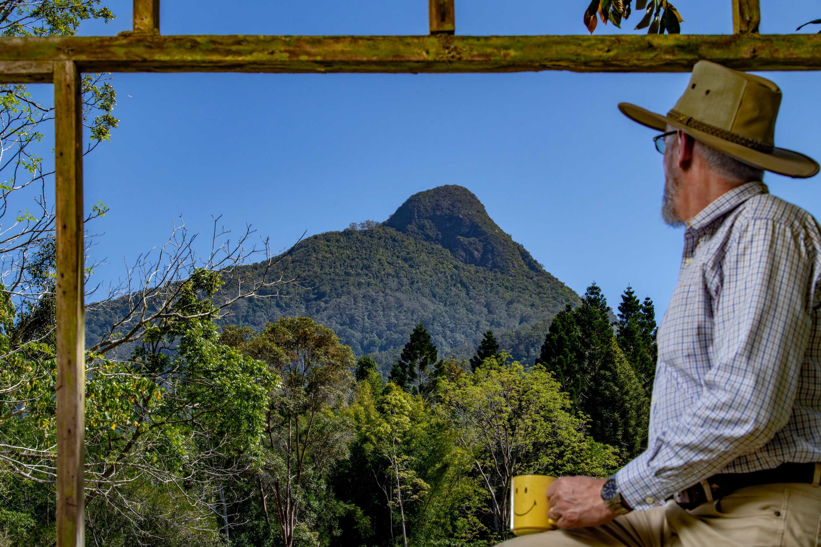 186 Palmers Road, Terragon, NSW 2484