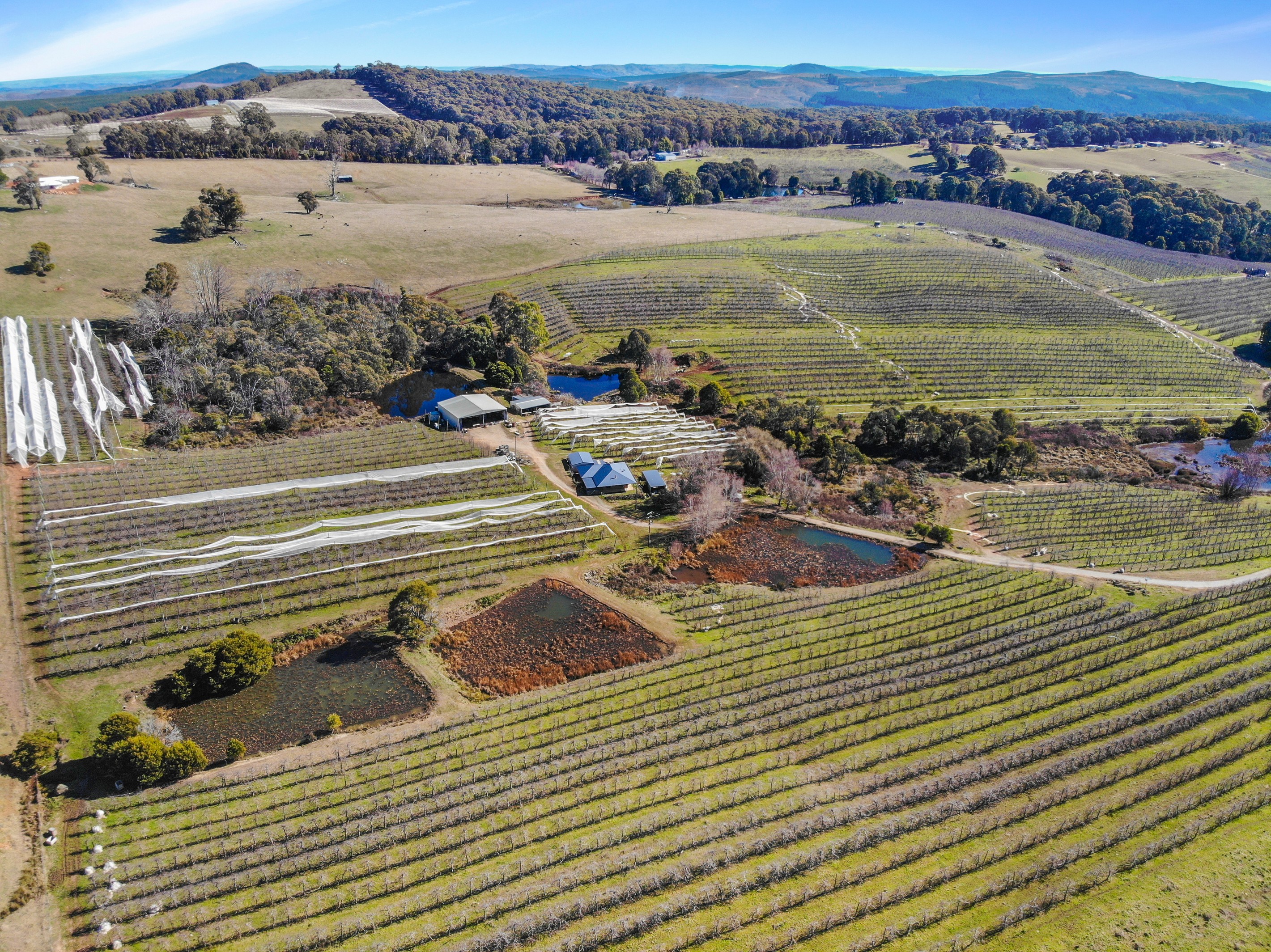 129 Cottams Road, Batlow, NSW 2730