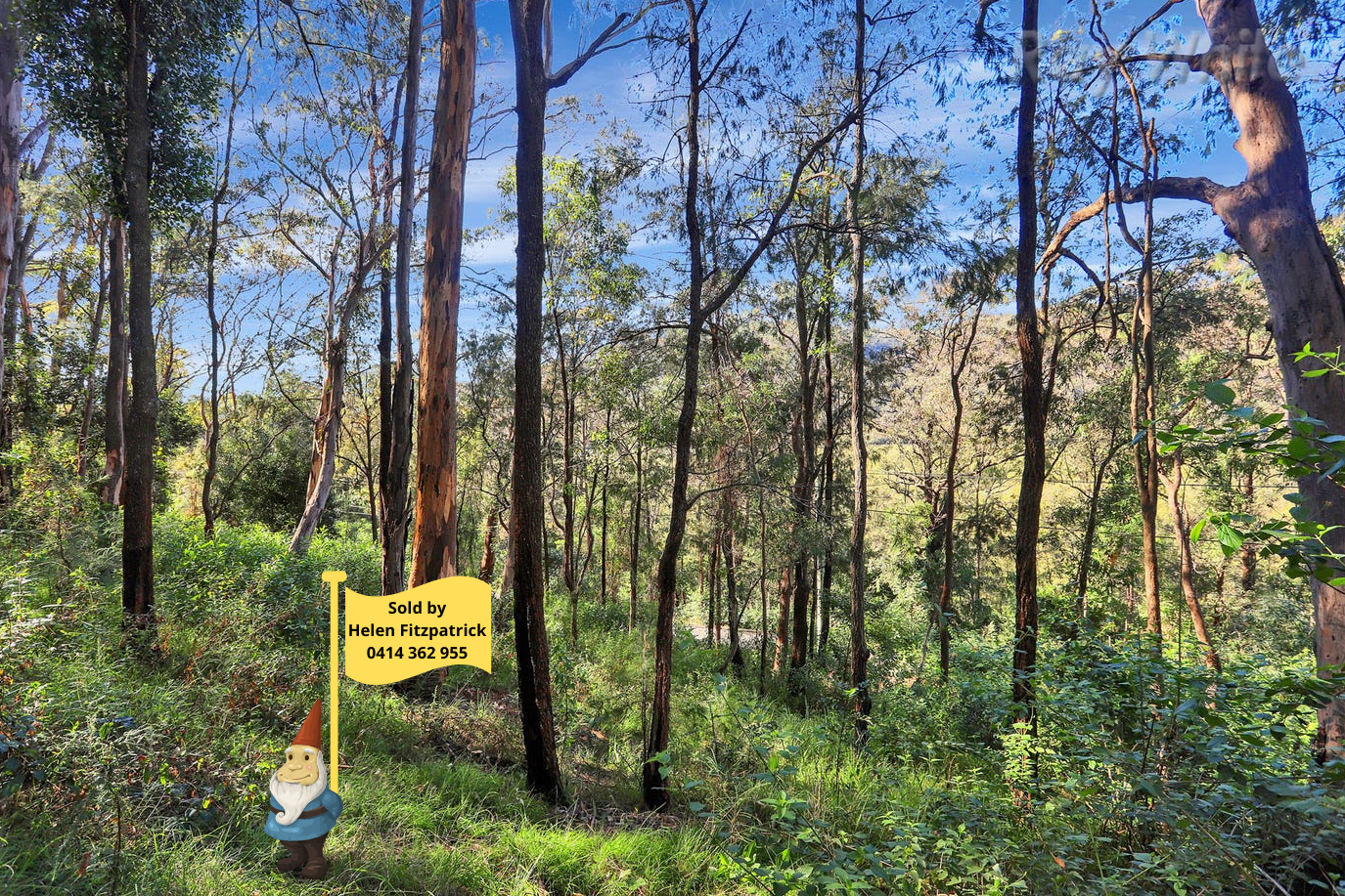 4482 Wisemans Ferry Road, Spencer, NSW 2775
