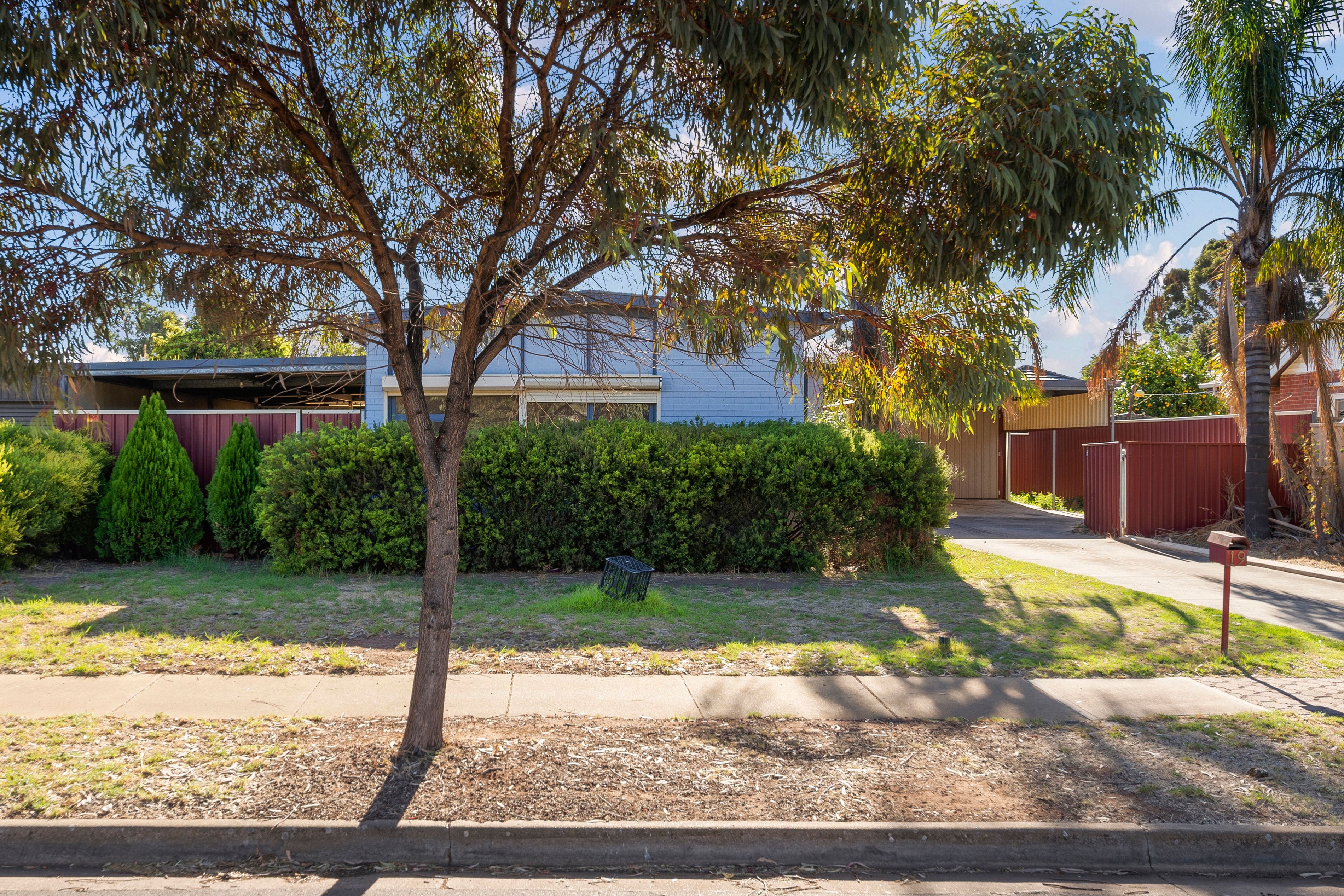 19 Trumper Avenue, Parafield Gardens, SA 5107