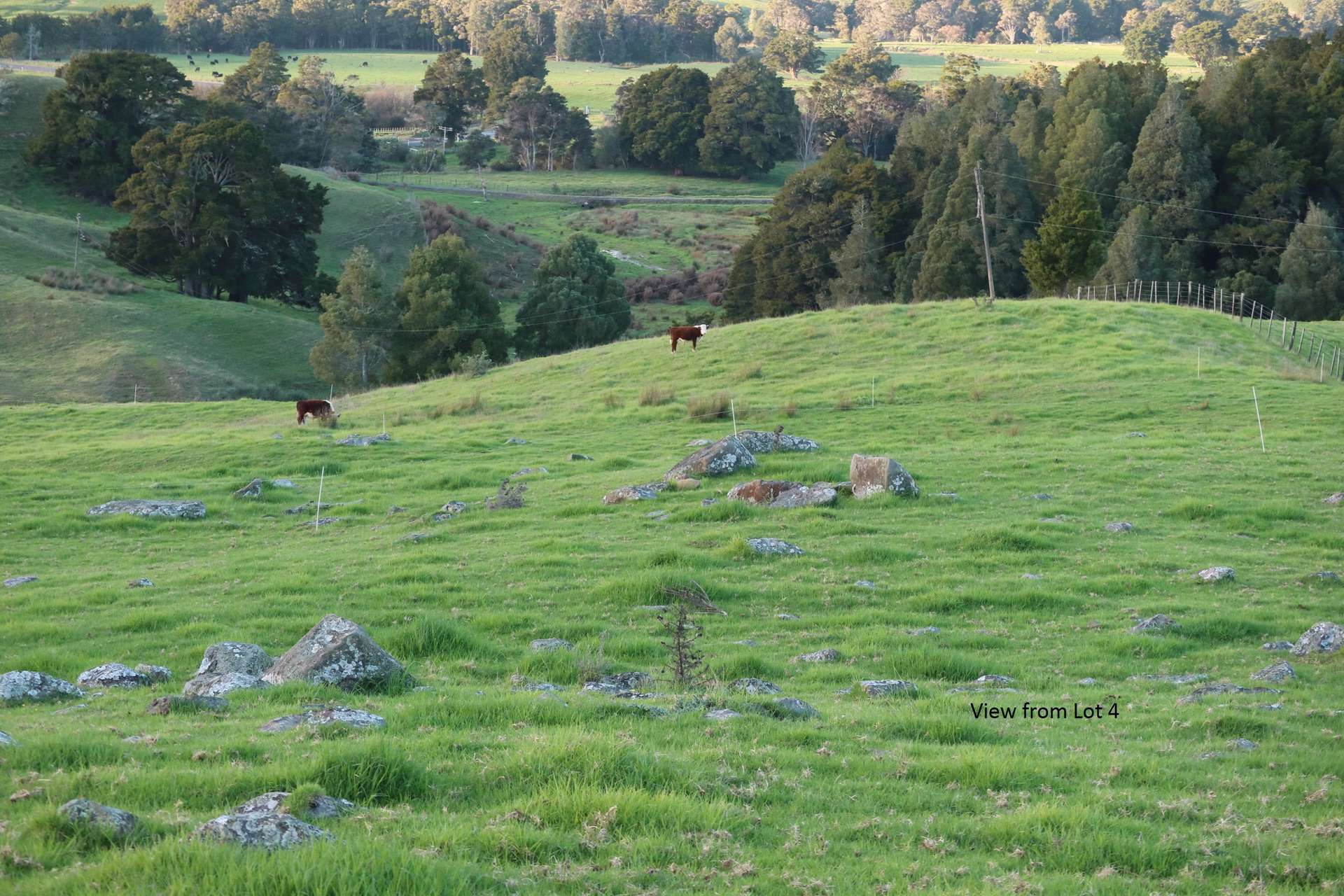 Kerikeri  Far North District  0230 photo 9