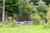 418 Kaiwaka Road photo 11