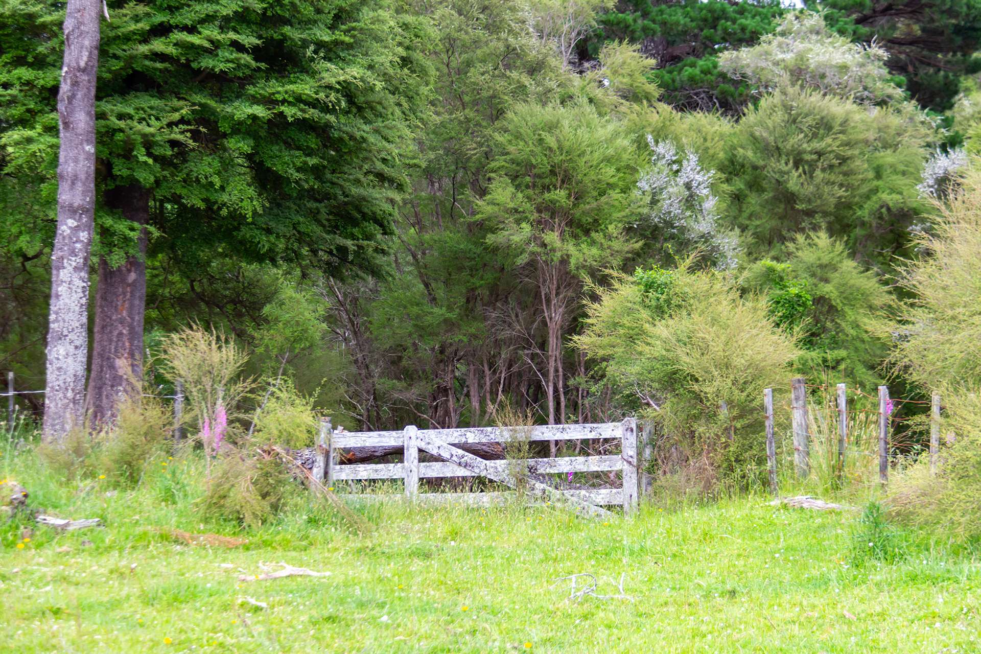 418 Kaiwaka Road photo 11