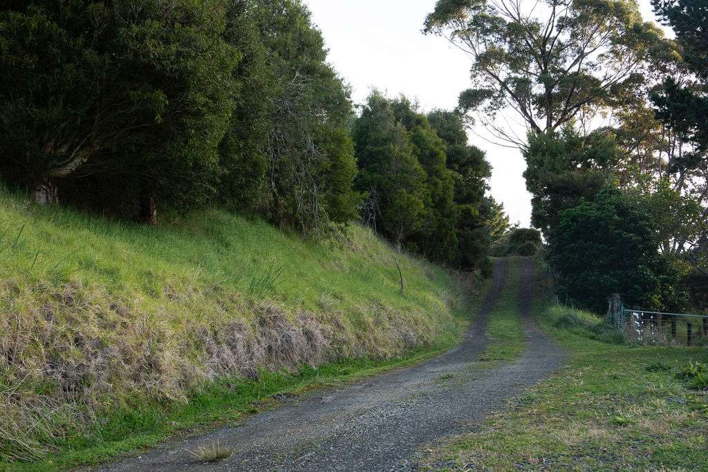 67C Kokohuia Road photo 19