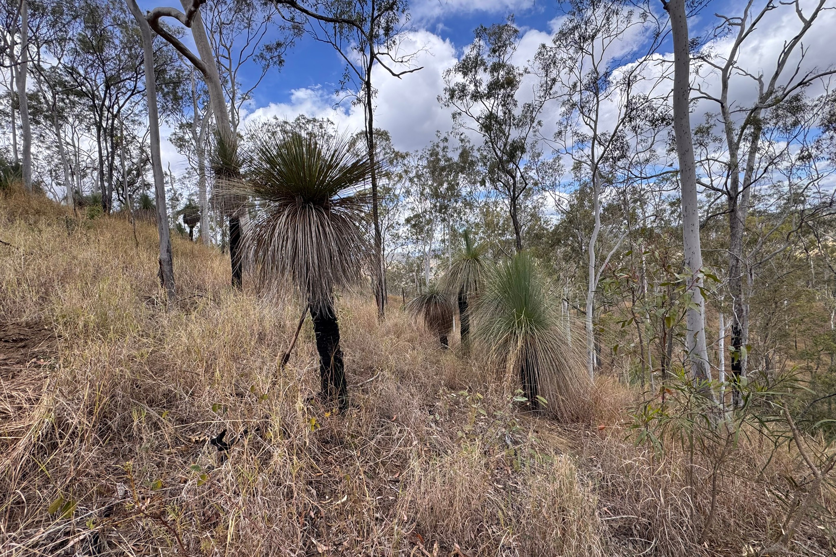 266 Childs Road, Boyne Valley, QLD 4680