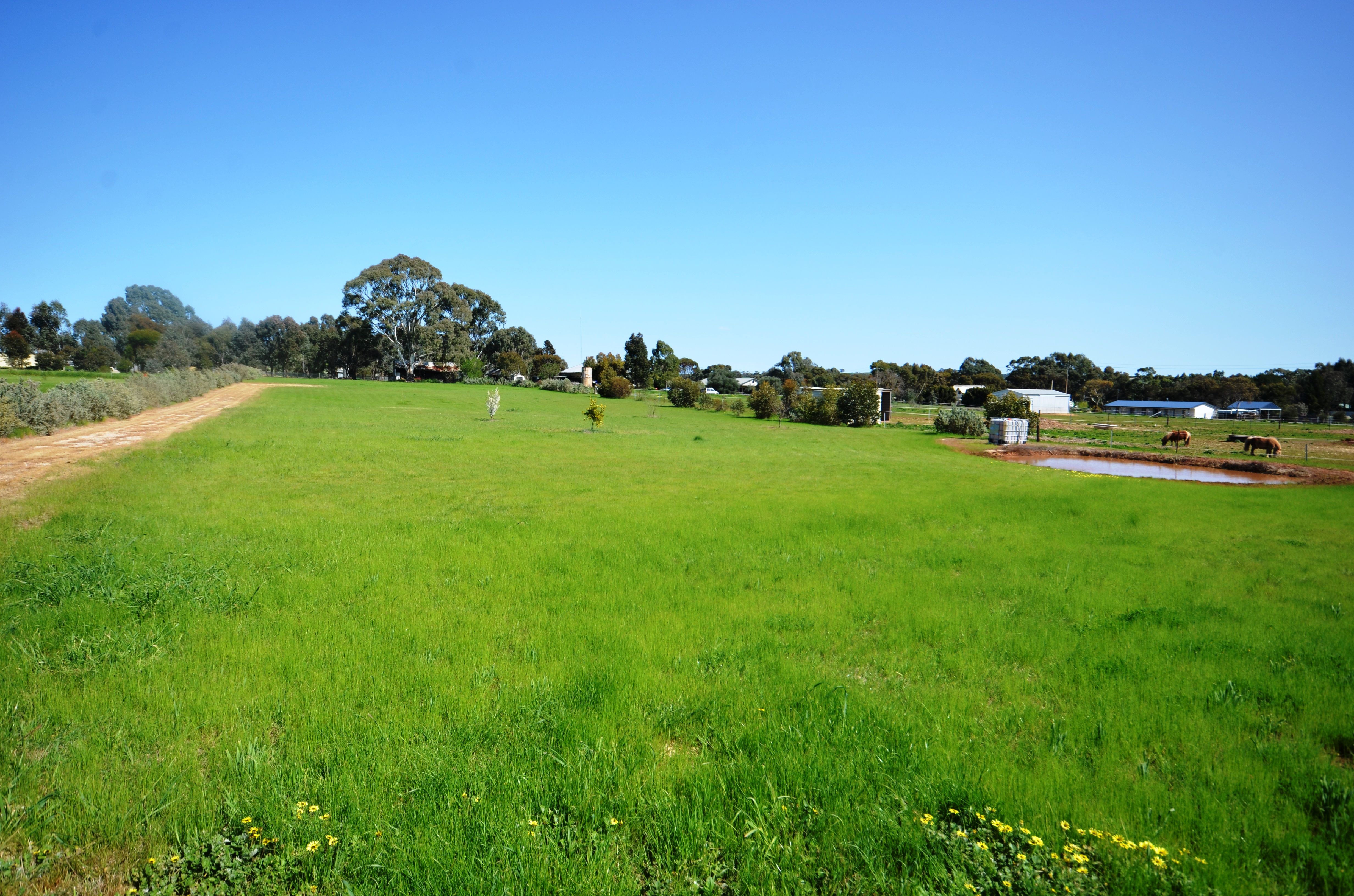 95 Raglan Street, Auburn, SA 5451