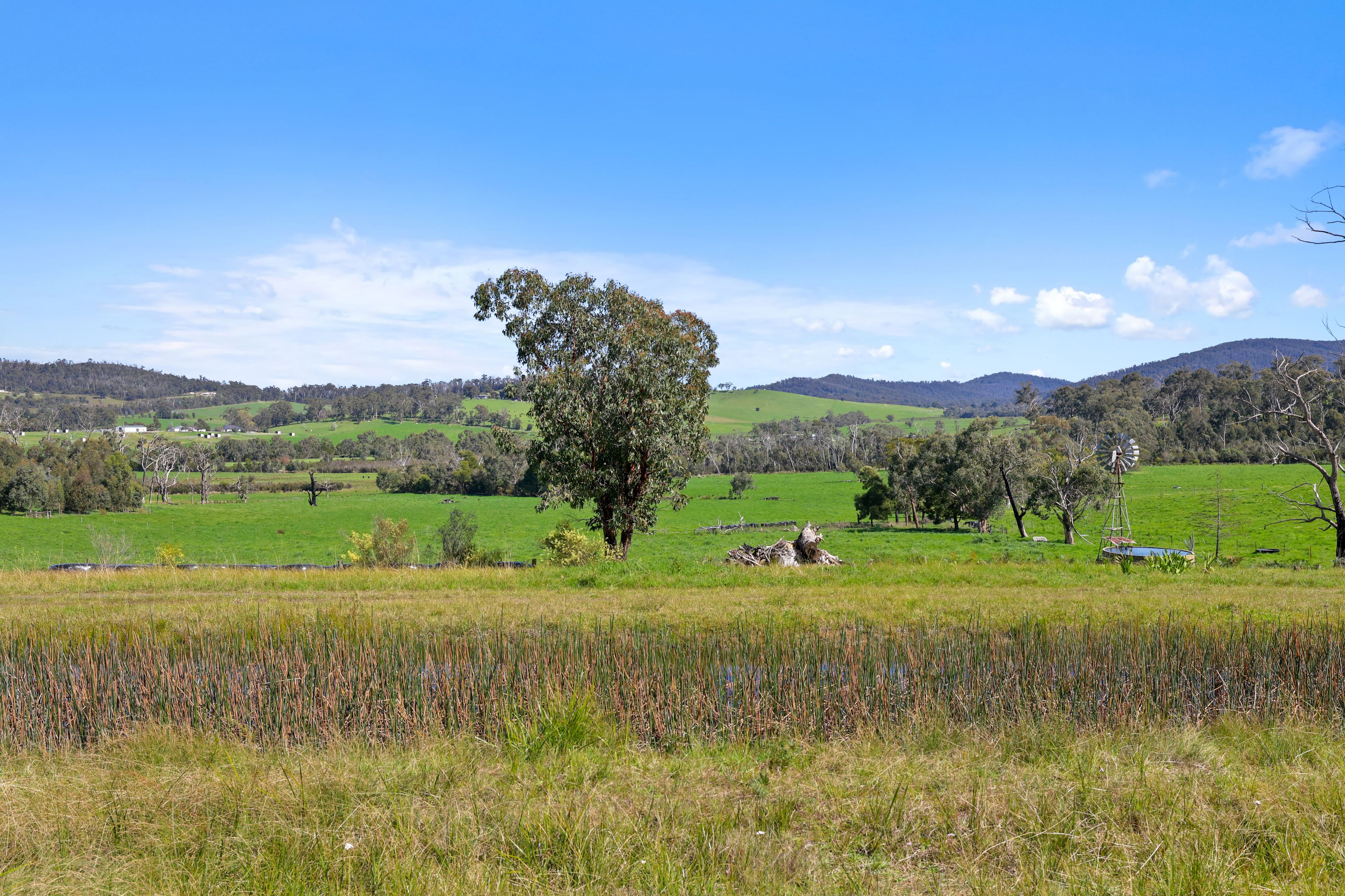 110 Topp Road, Tonimbuk, VIC 3815