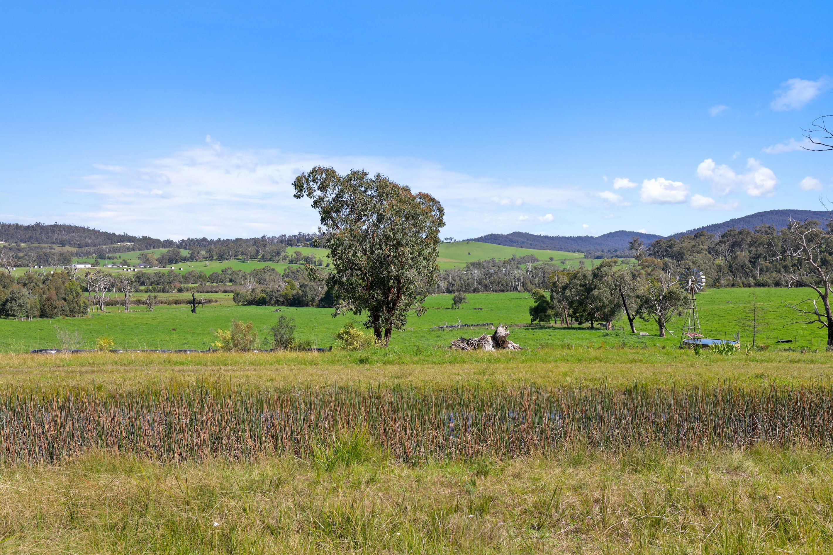 110 Topp Road, Tonimbuk, VIC 3815