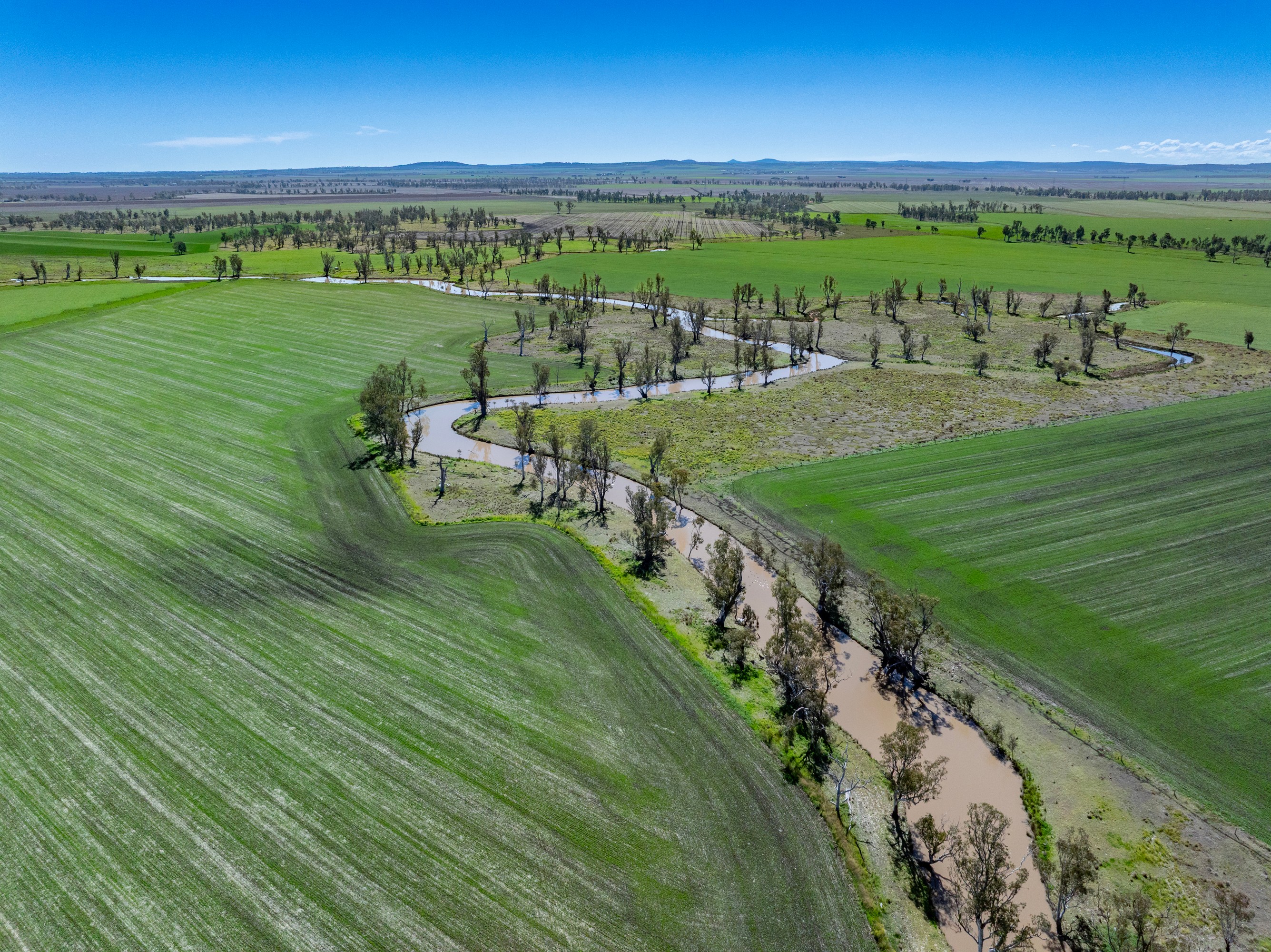 214 Booligar Road, Ellangowan, QLD 4361