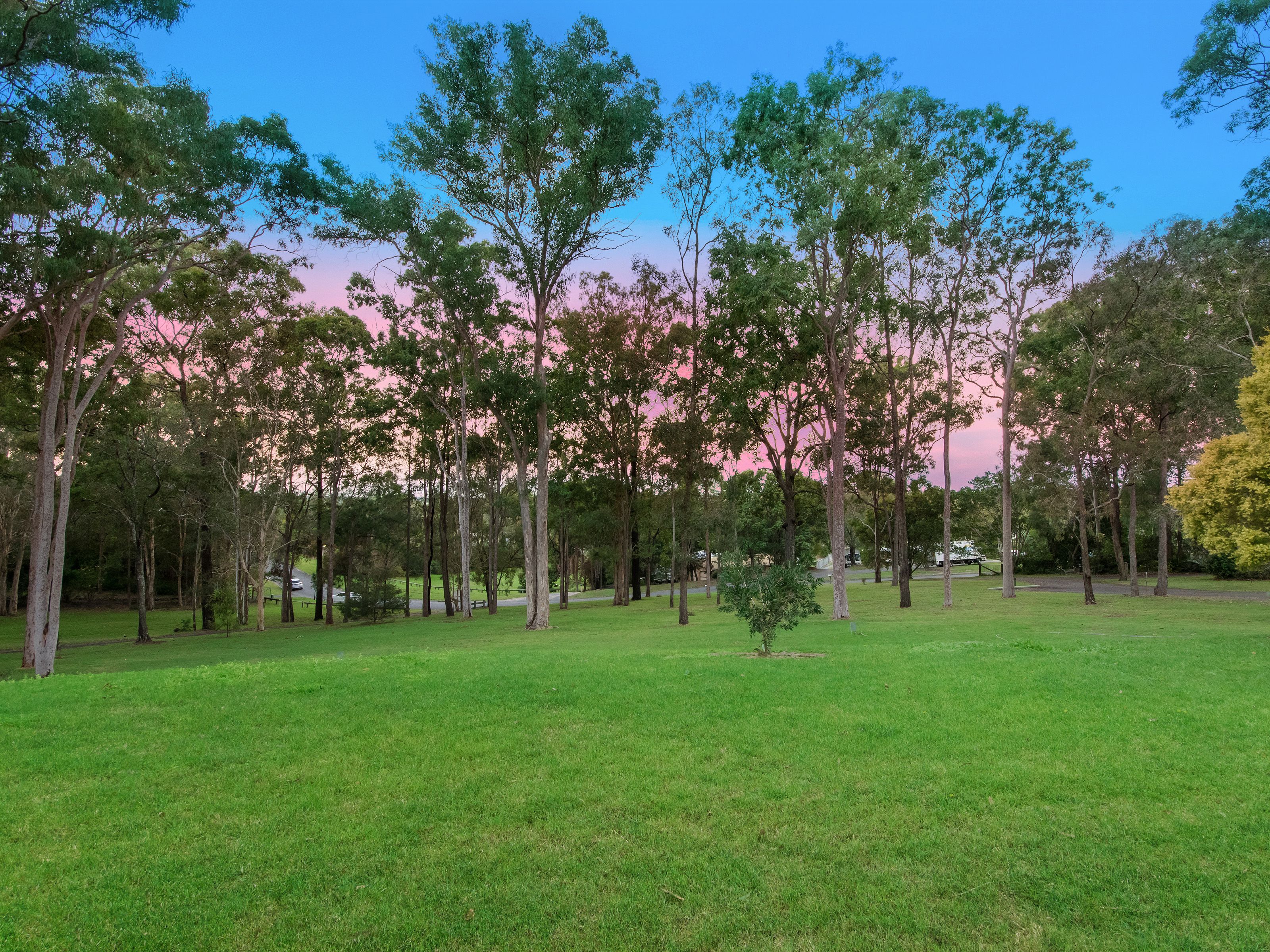 7 Mendooran Court, Oxenford, QLD 4210