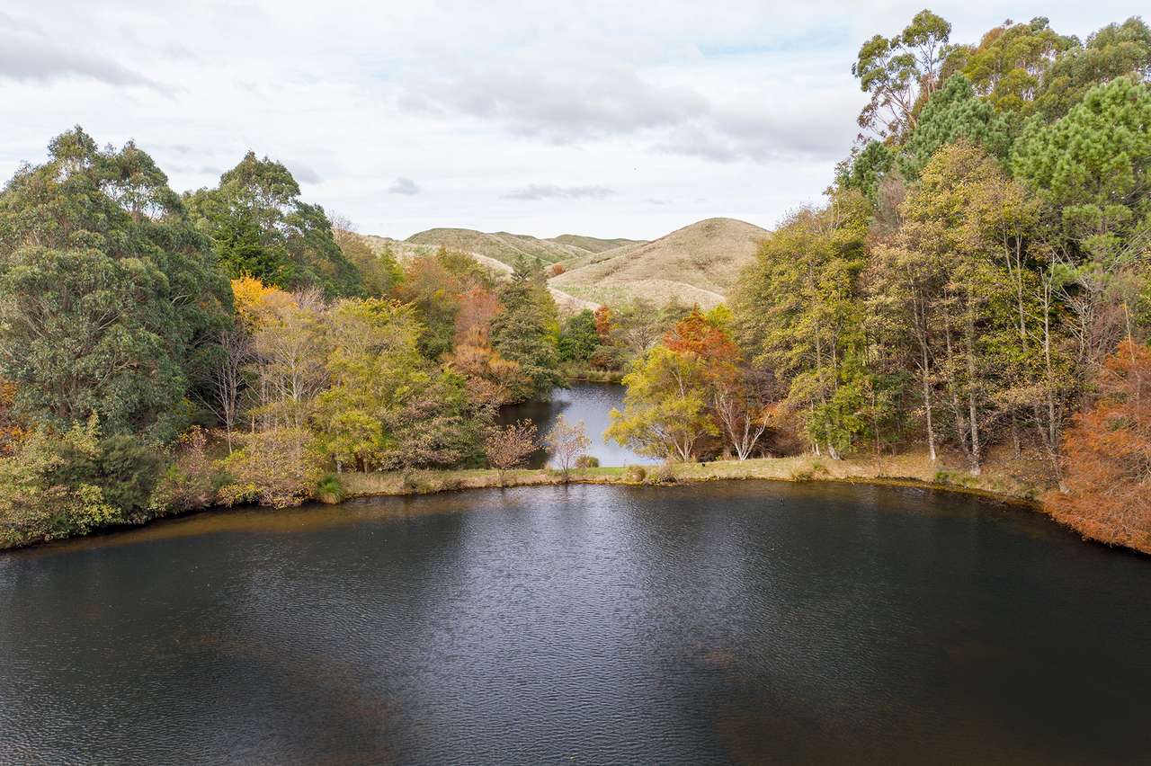 265 Nireaha Hukanui Road, Eketahuna, Tararua District Real Estate
