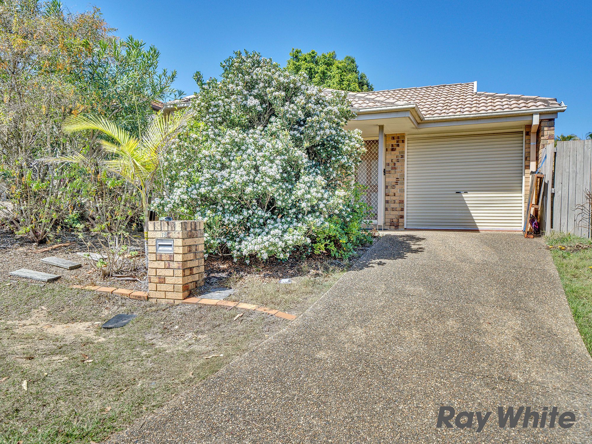19 Toomba Place, Forest Lake, QLD 4078