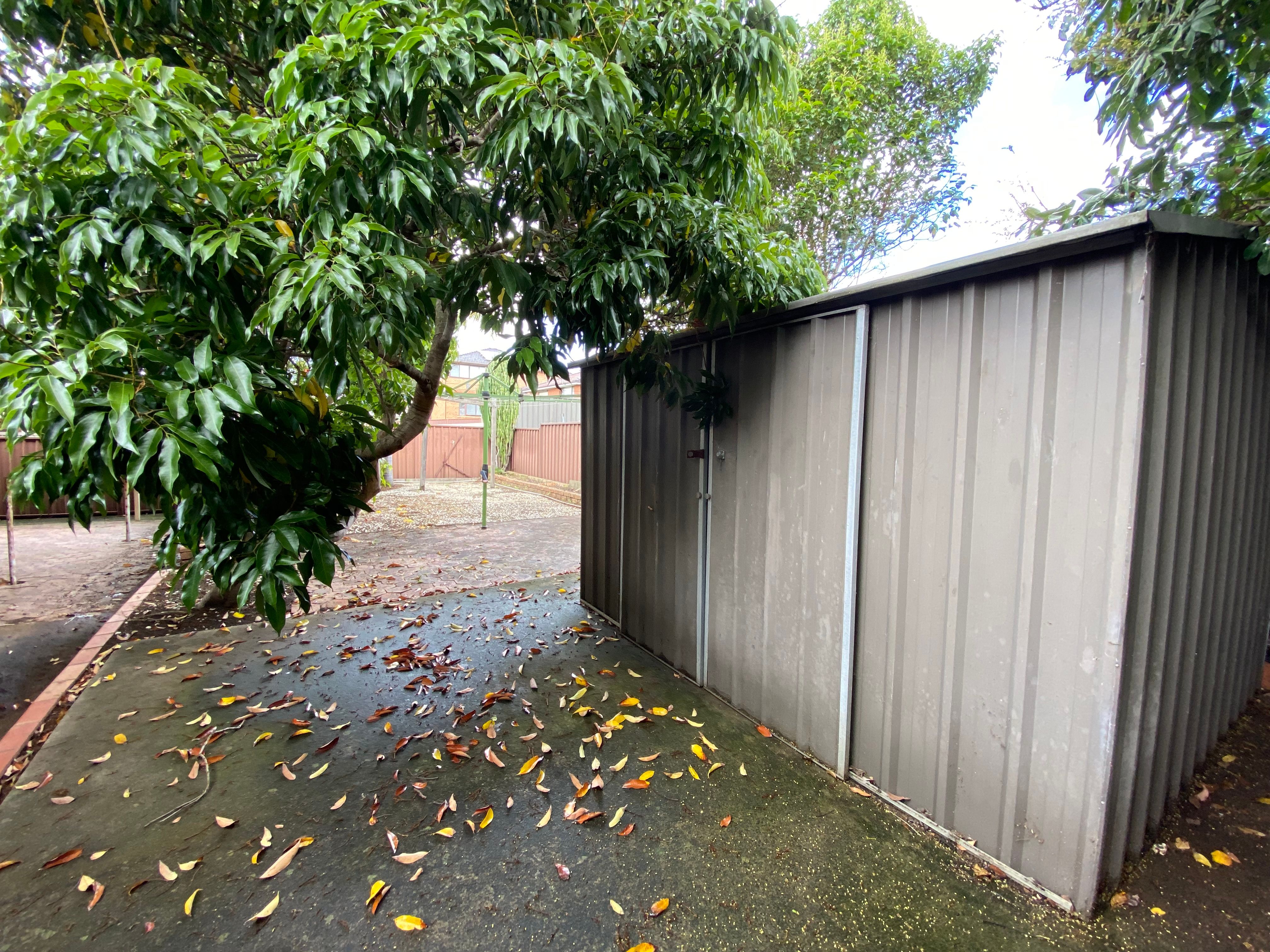 6 Torwood Place, St Johns Park, NSW 2176
