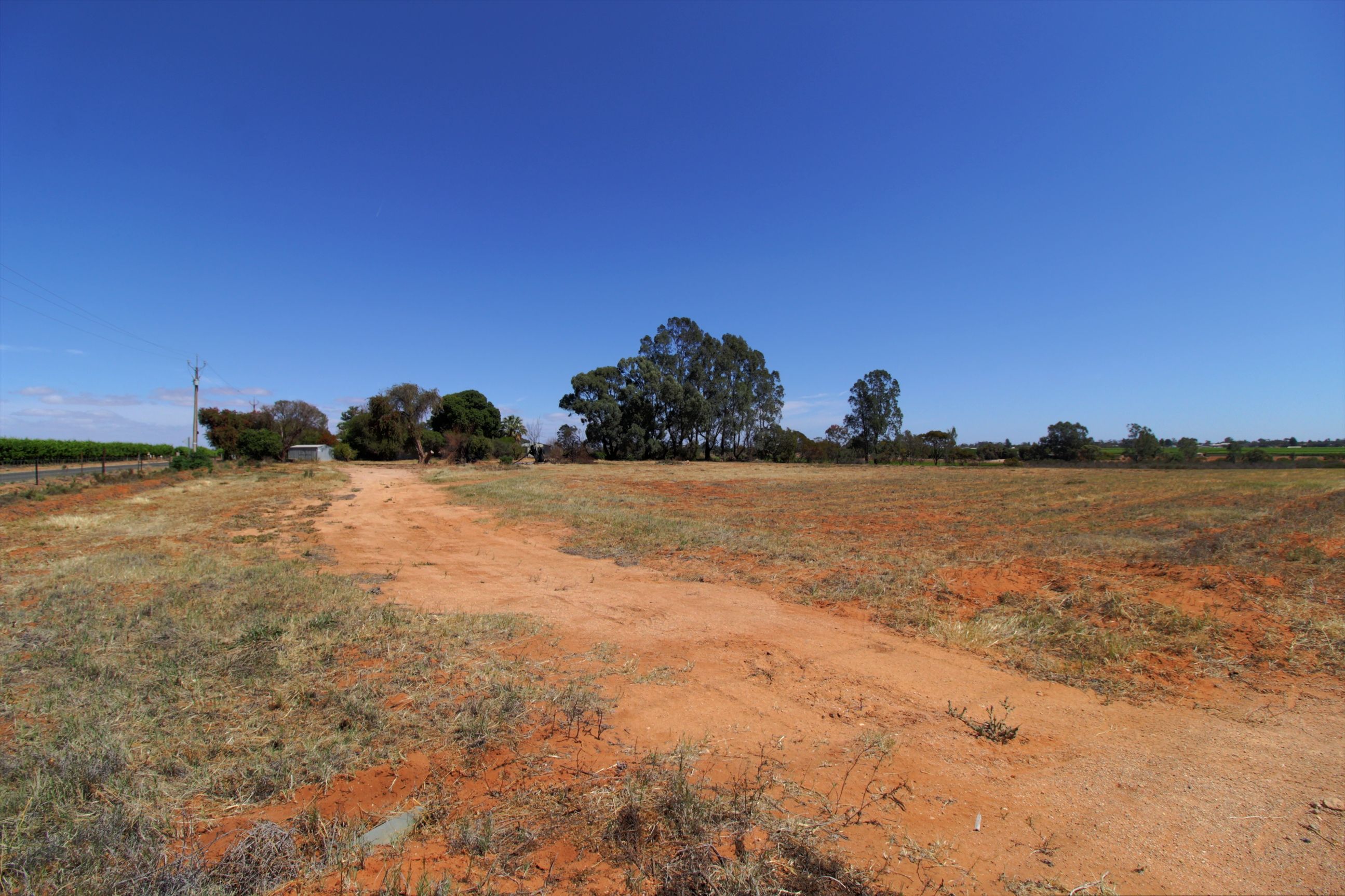 142 Gordon Road, Barmera, SA 5345