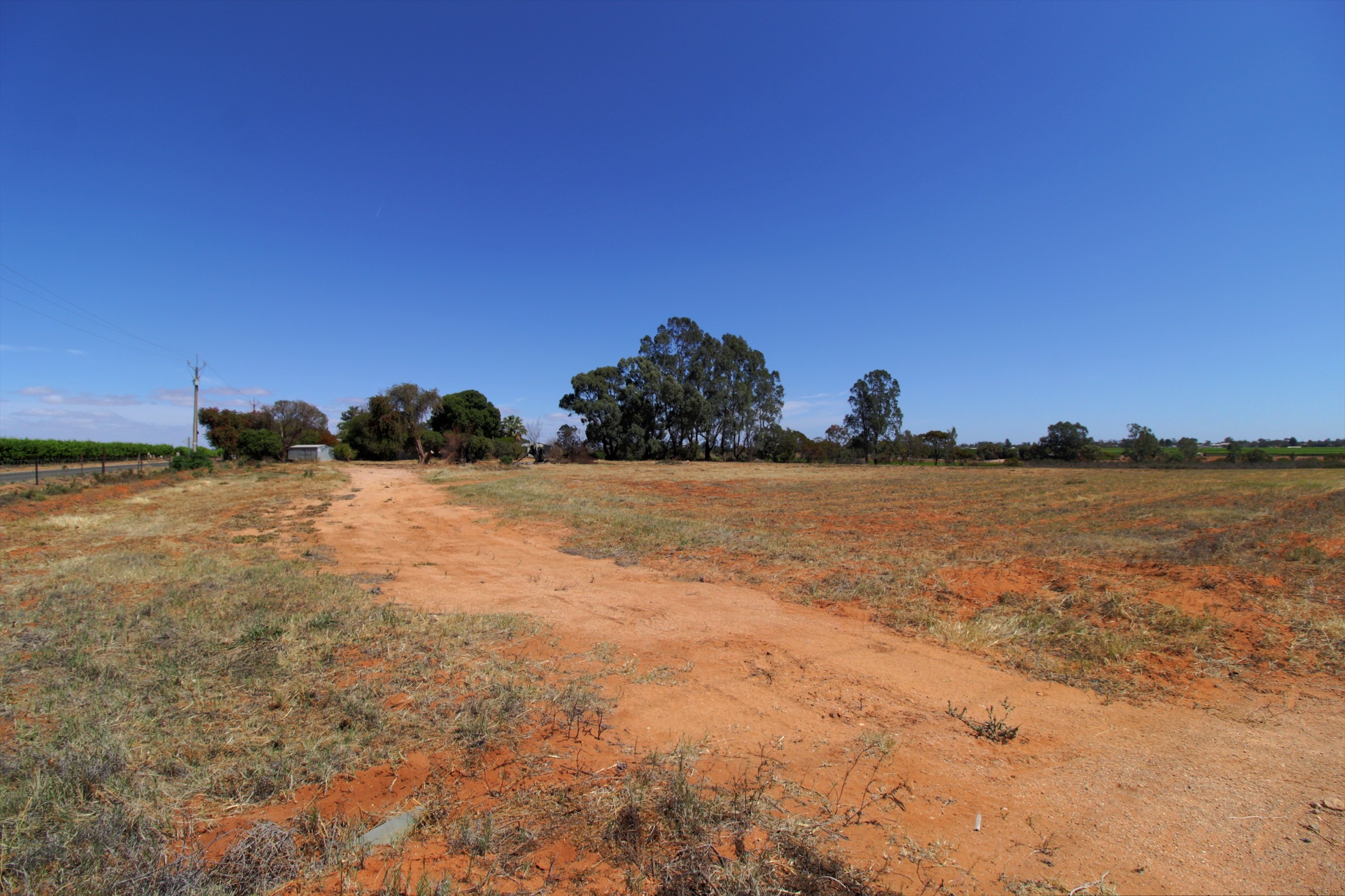 142 Gordon Road, Barmera, SA 5345