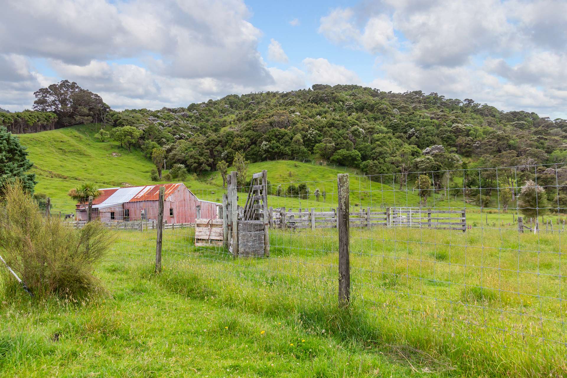 418 Kaiwaka Road photo 19