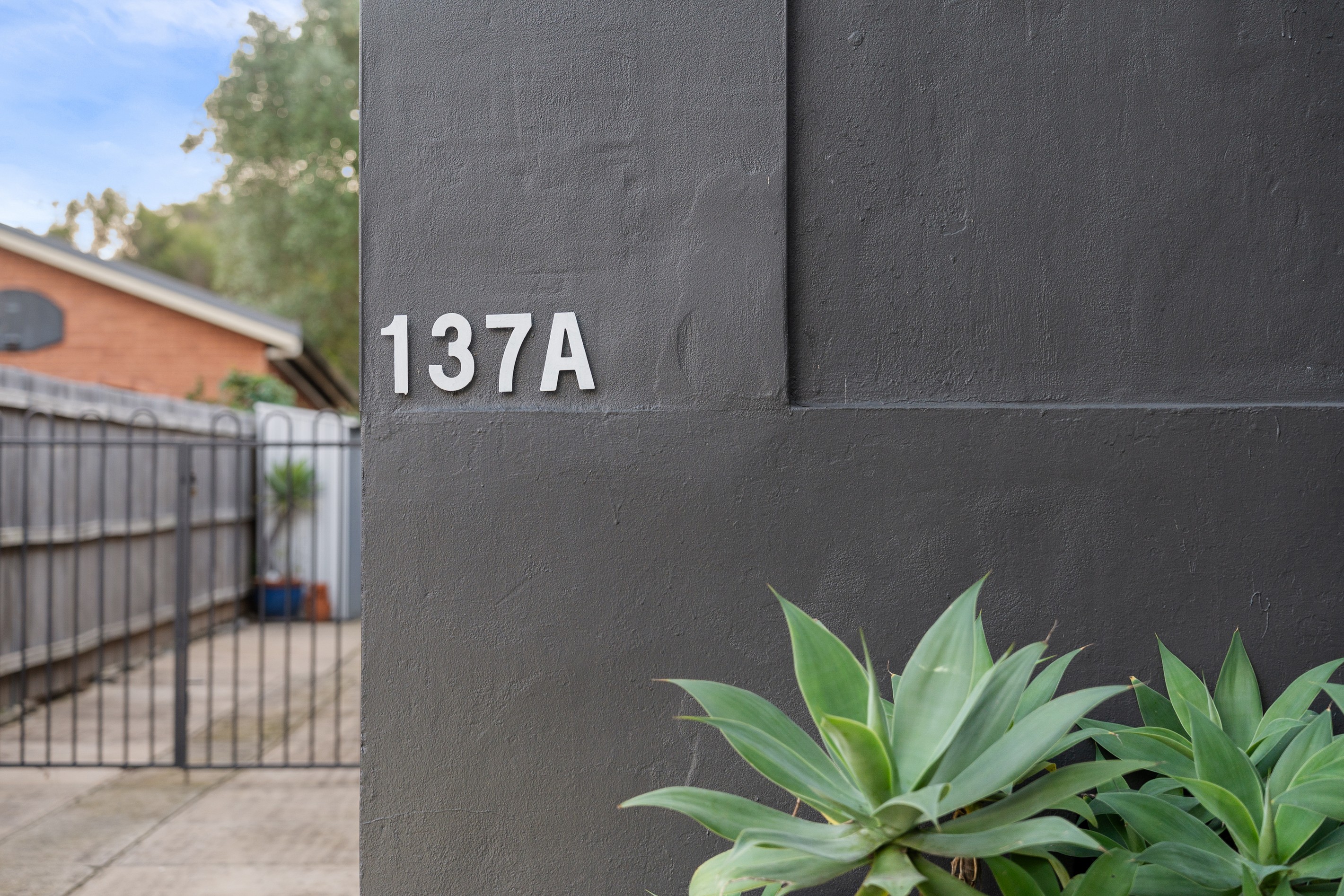 137A Bexley Road, Earlwood, NSW 2206