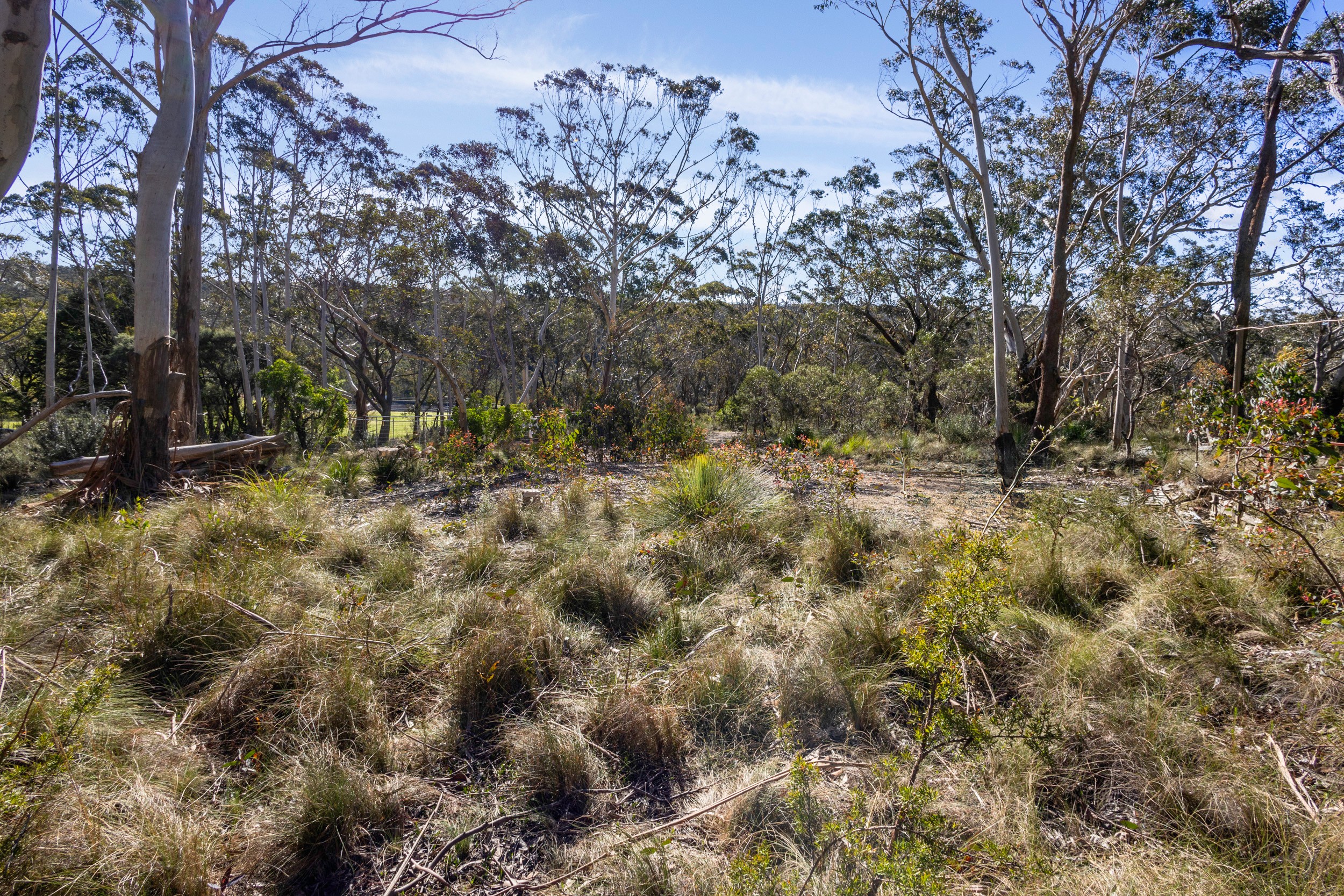 Lot 171 & 127 DP 164 44 Godson Ave (AKA 45 Bettington Road), Blackheath, NSW 2785