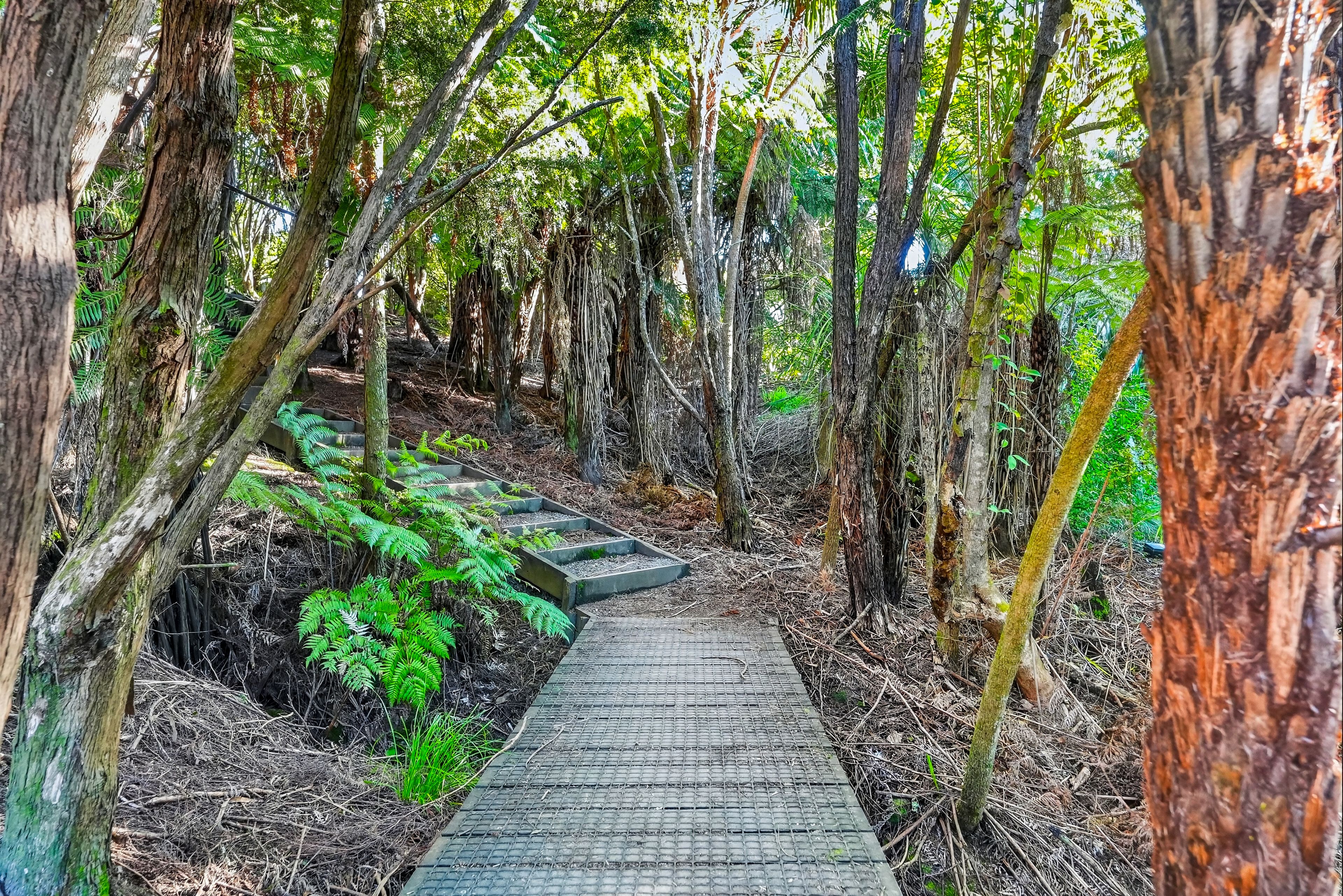 8 Aberdeen Road, Campbells Bay, North Shore City