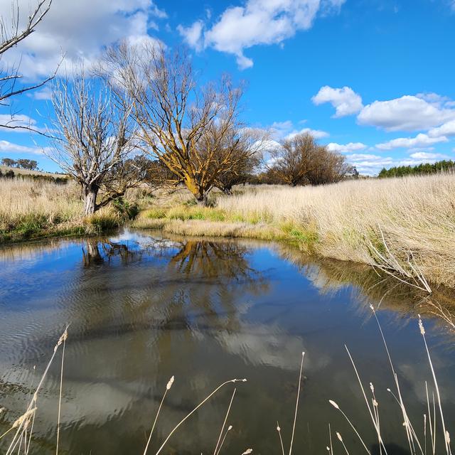 Springrange 1076 Spring Range Road, Springrange, NSW 2618 - Sold House - Ray White ...