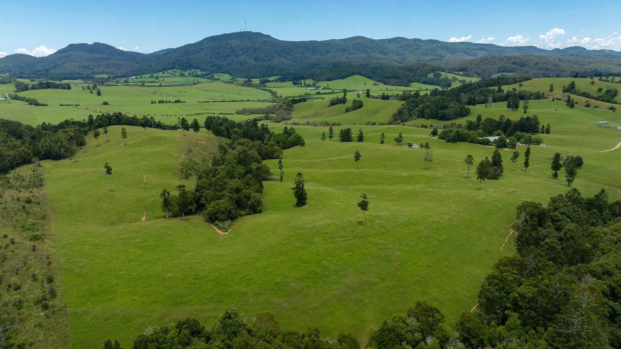 "Aberfeldy" 174 Seccombes Road — photo 16 of 16