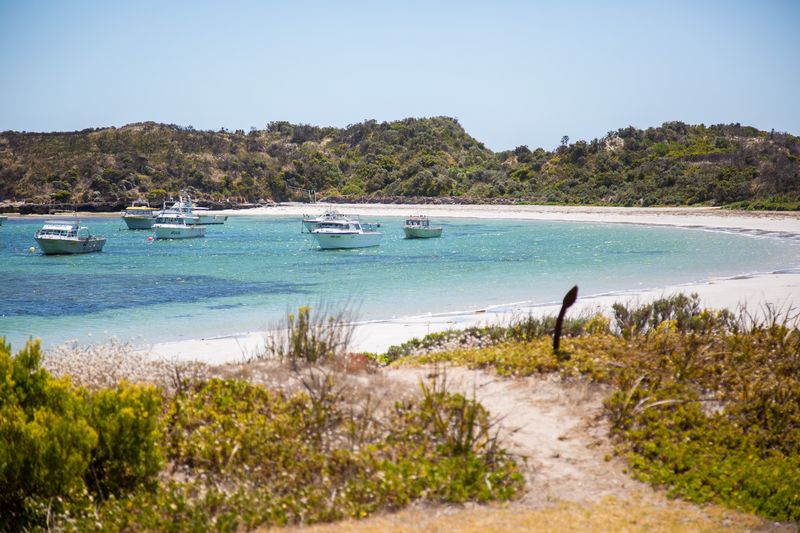 39 Carpenter Rocks Road, Carpenter Rocks, SA Residential House Sold