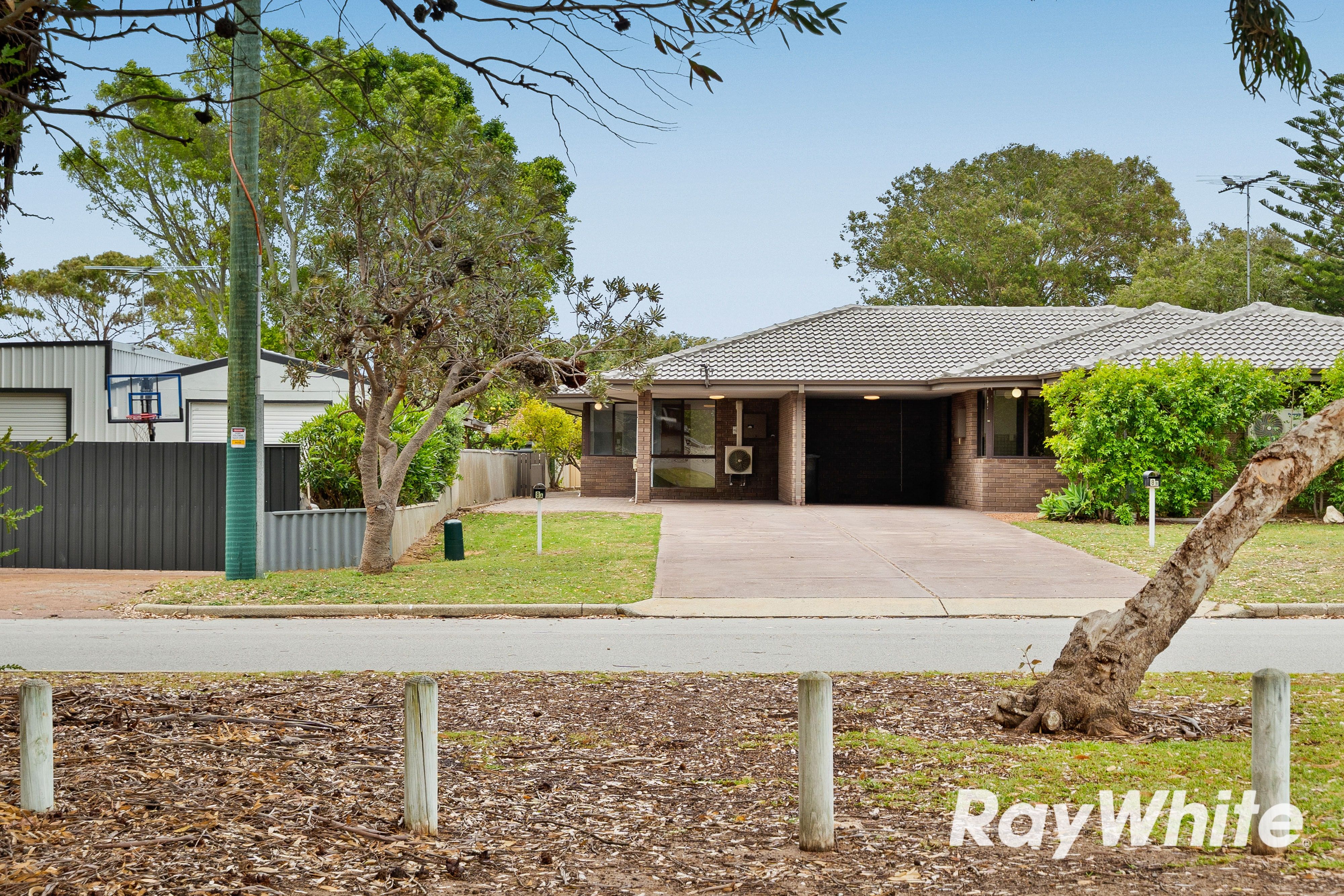 8B Cathryn Street — photo 3 of 21