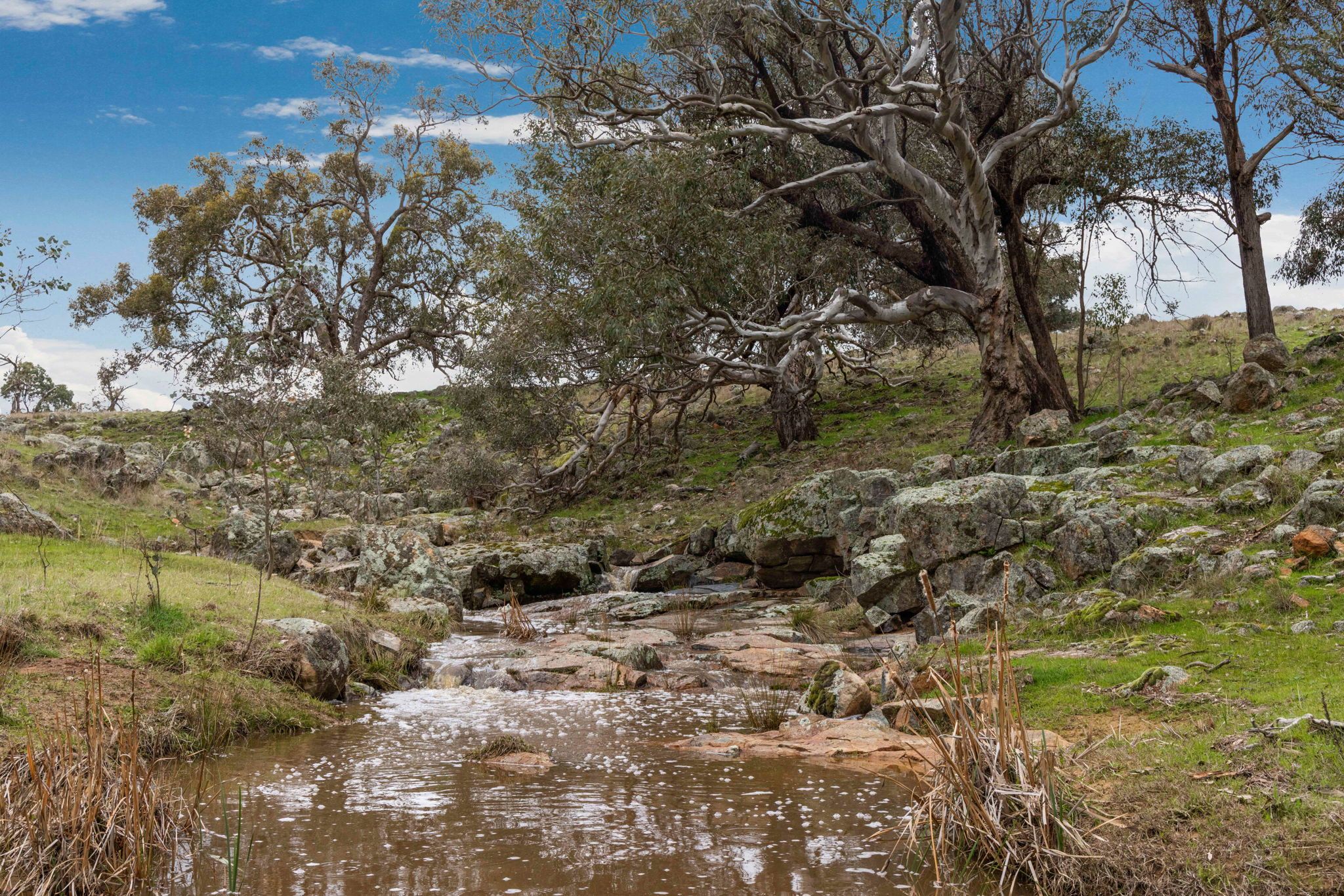 "Reynoldsdale", 1056 Lachlan Valley Way — photo 30 of 30