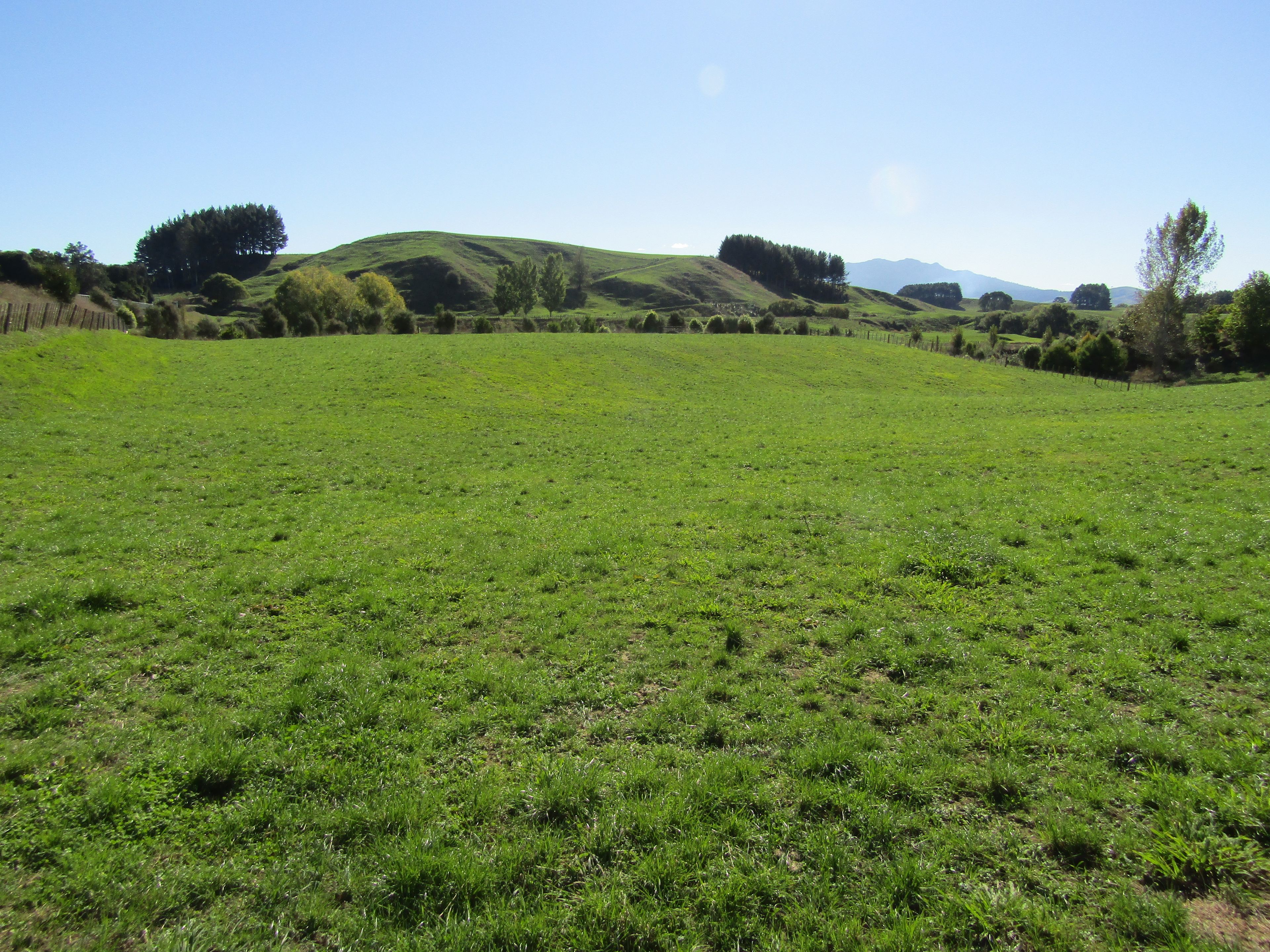 0 Te Kawa Road, Lot 1, Te Awamutu, Waipa District
