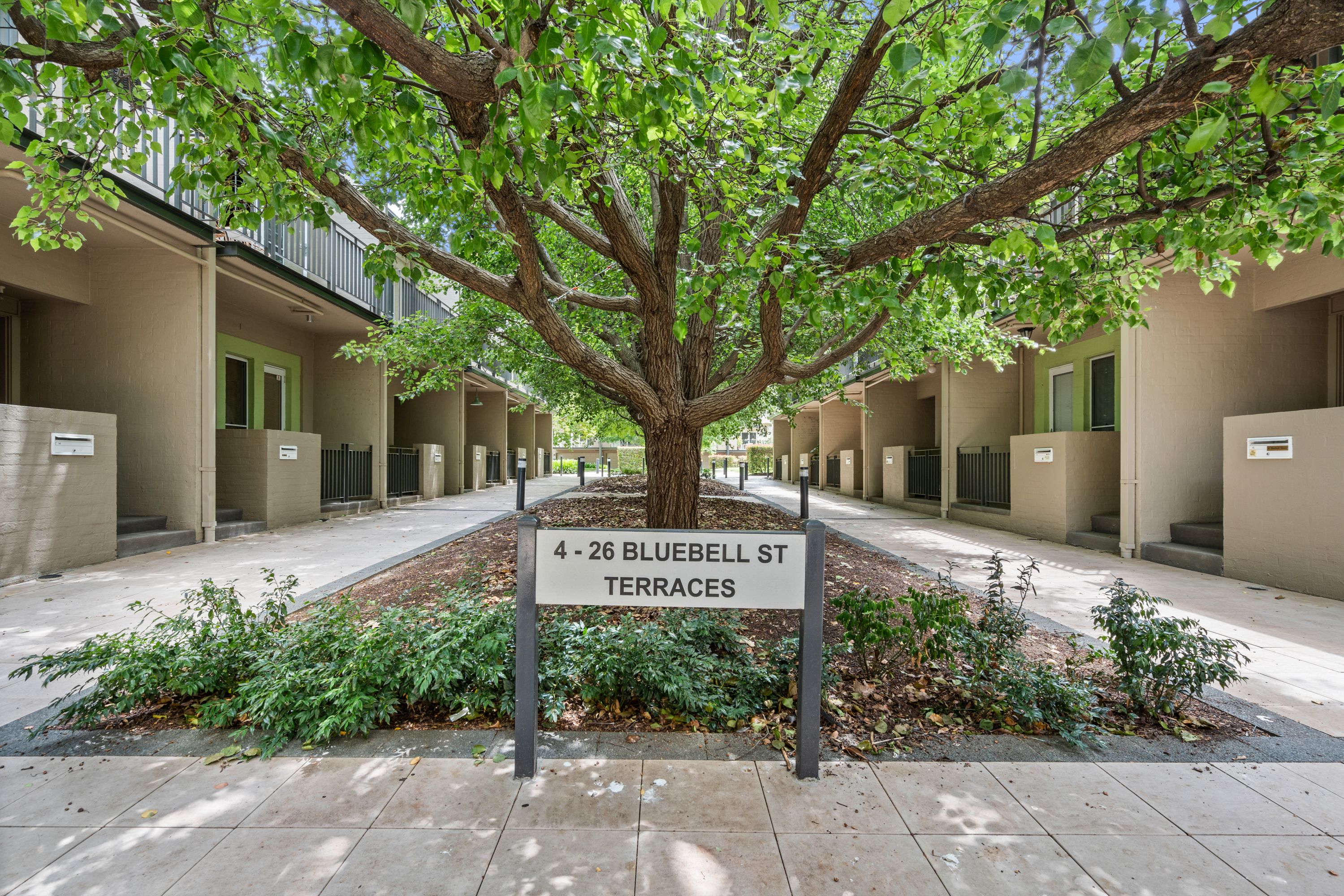 12 Bluebell Street, O'Connor, ACT 2602