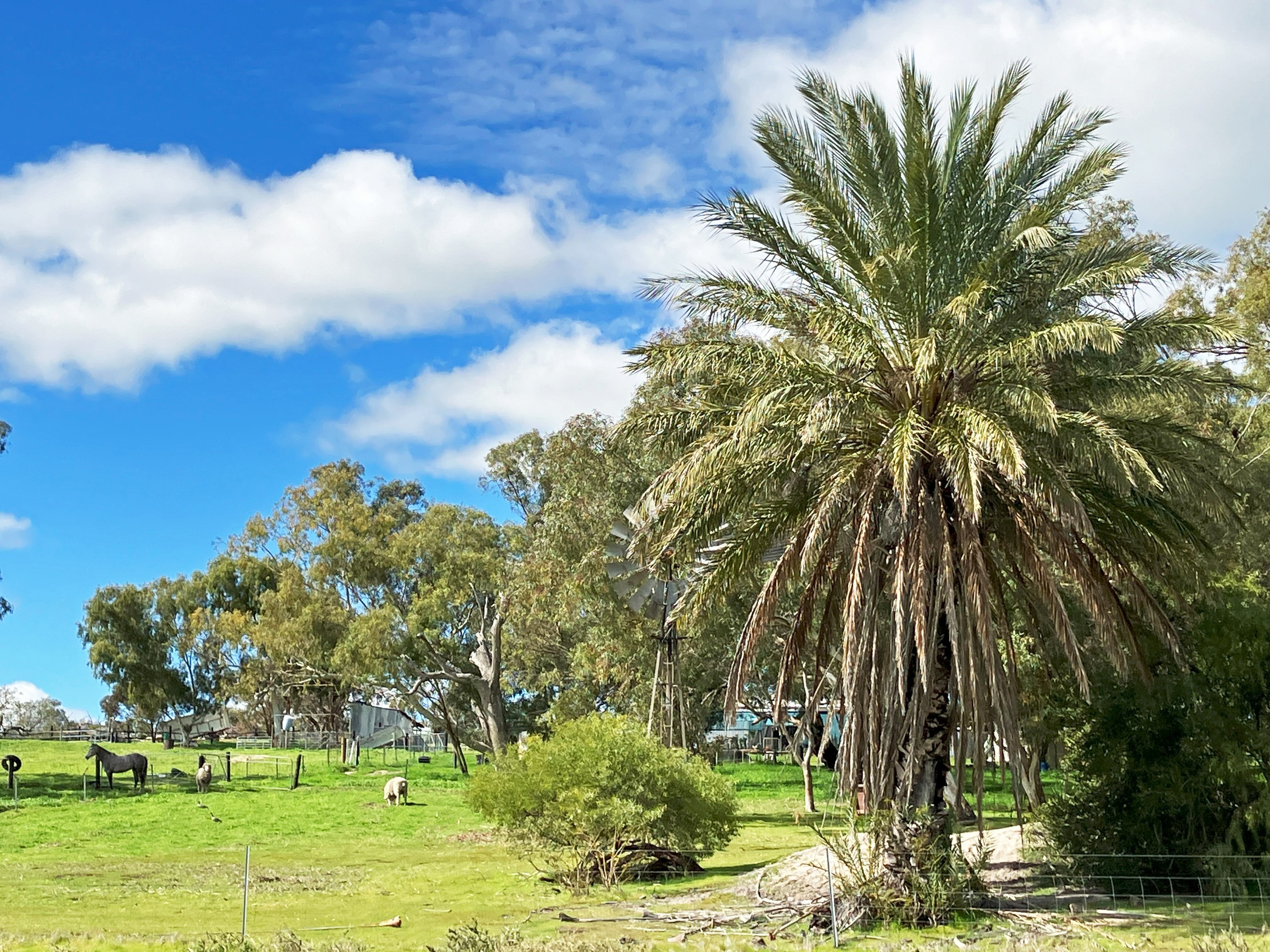 Eneabba, WA 6518