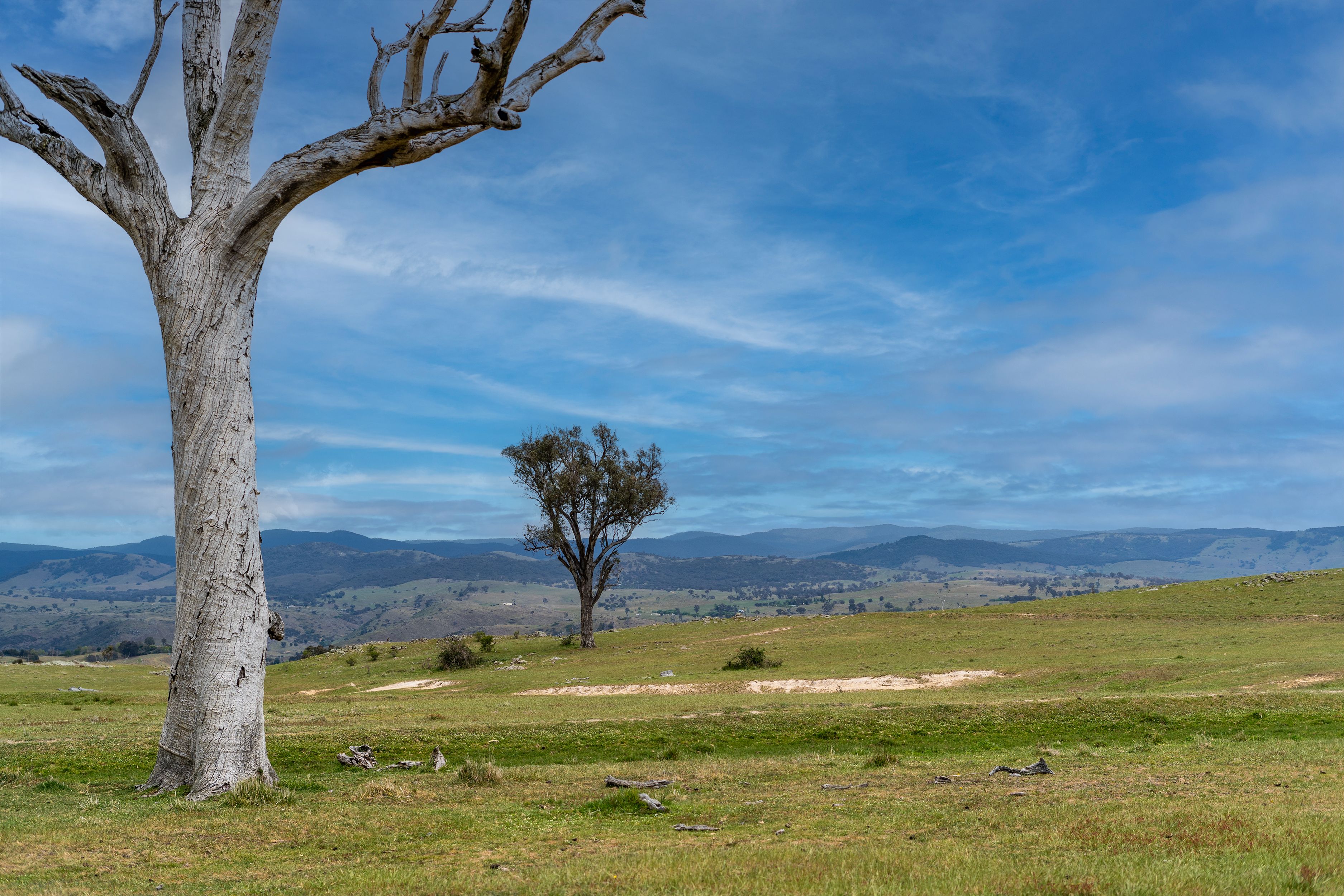 143 Rochford Road, Wallaroo, NSW 2618