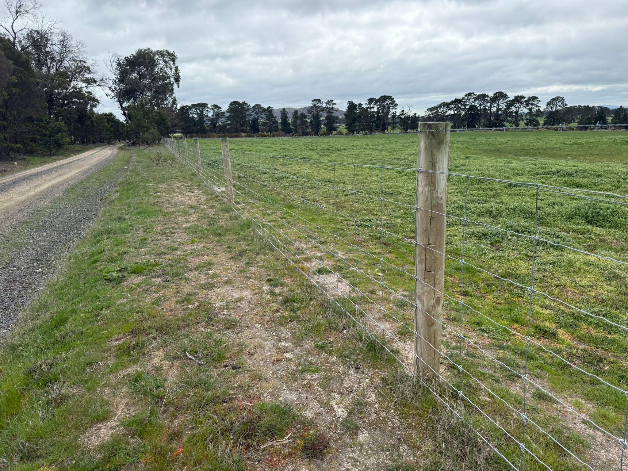 CA E SEC4, CA F SEC4 Eastern Peake Road — photo 9 of 10