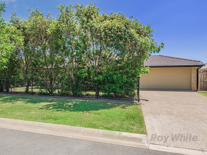 17 Mulberry Terrace, Pimpama QLD 4209