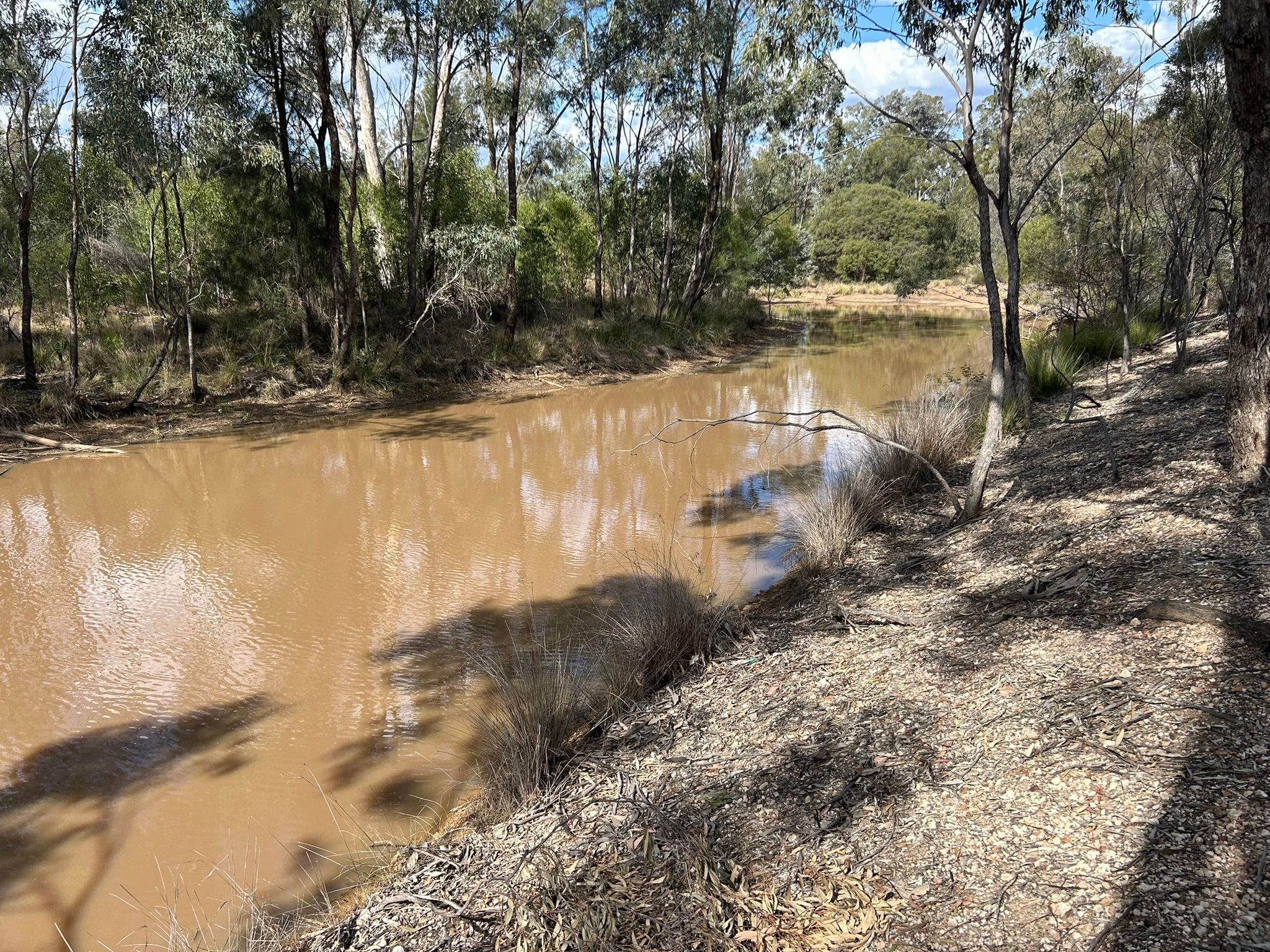 211 Kytes Road, Tara, QLD 4421 Home for Sale Ray White Rural Tara