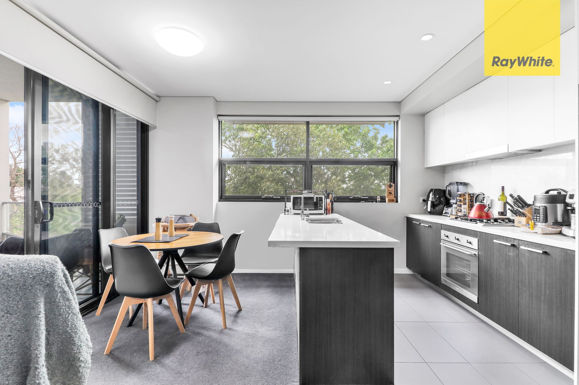 19 Prospect Street, Rosehill NSW 2142