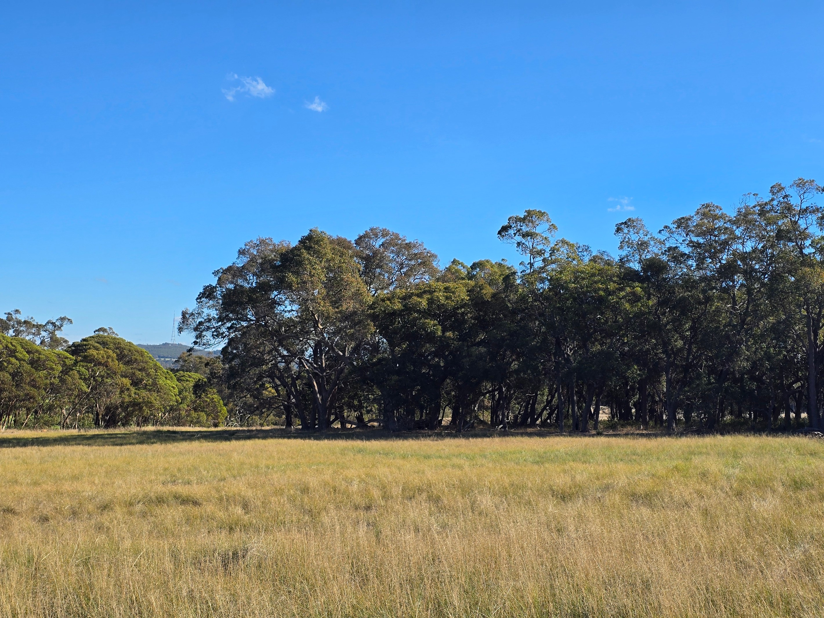 29/215 Porongurup Road, Mount Barker, WA 6324